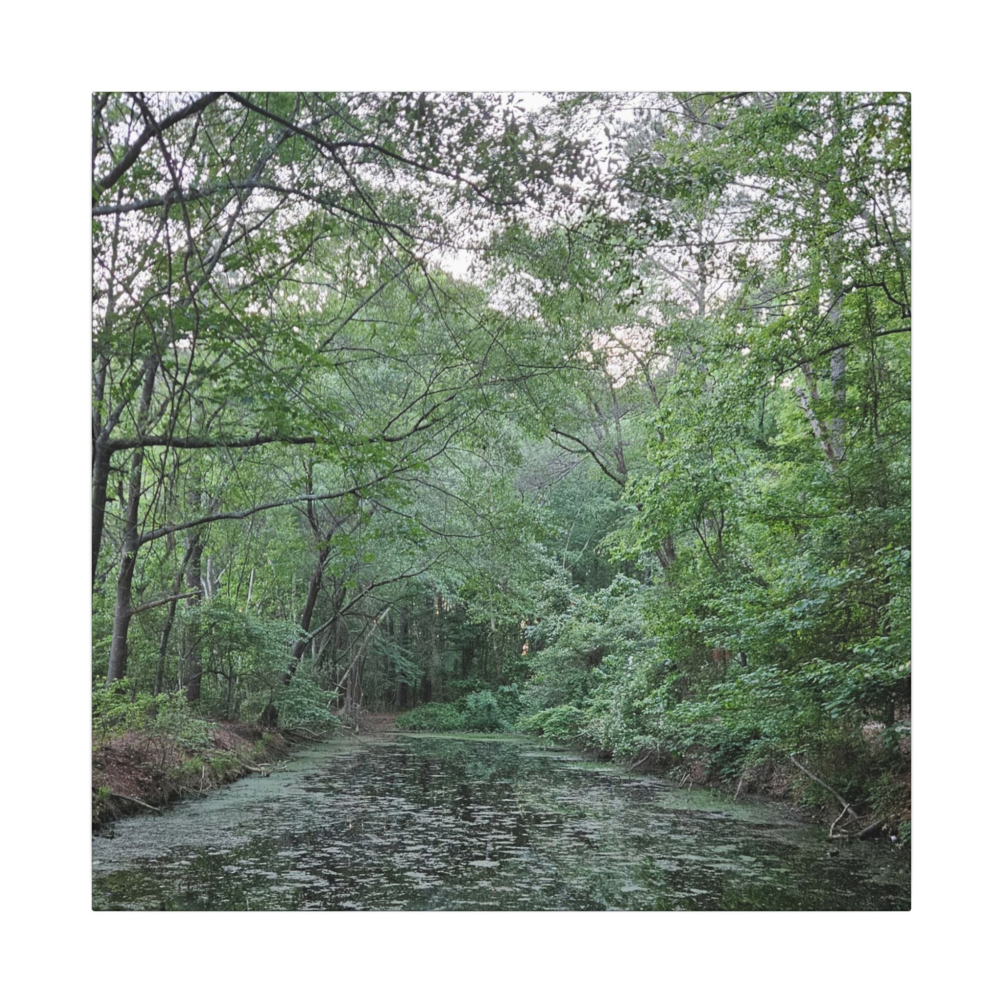 Mossy Pond Canvas Matte Stretched Wall Art