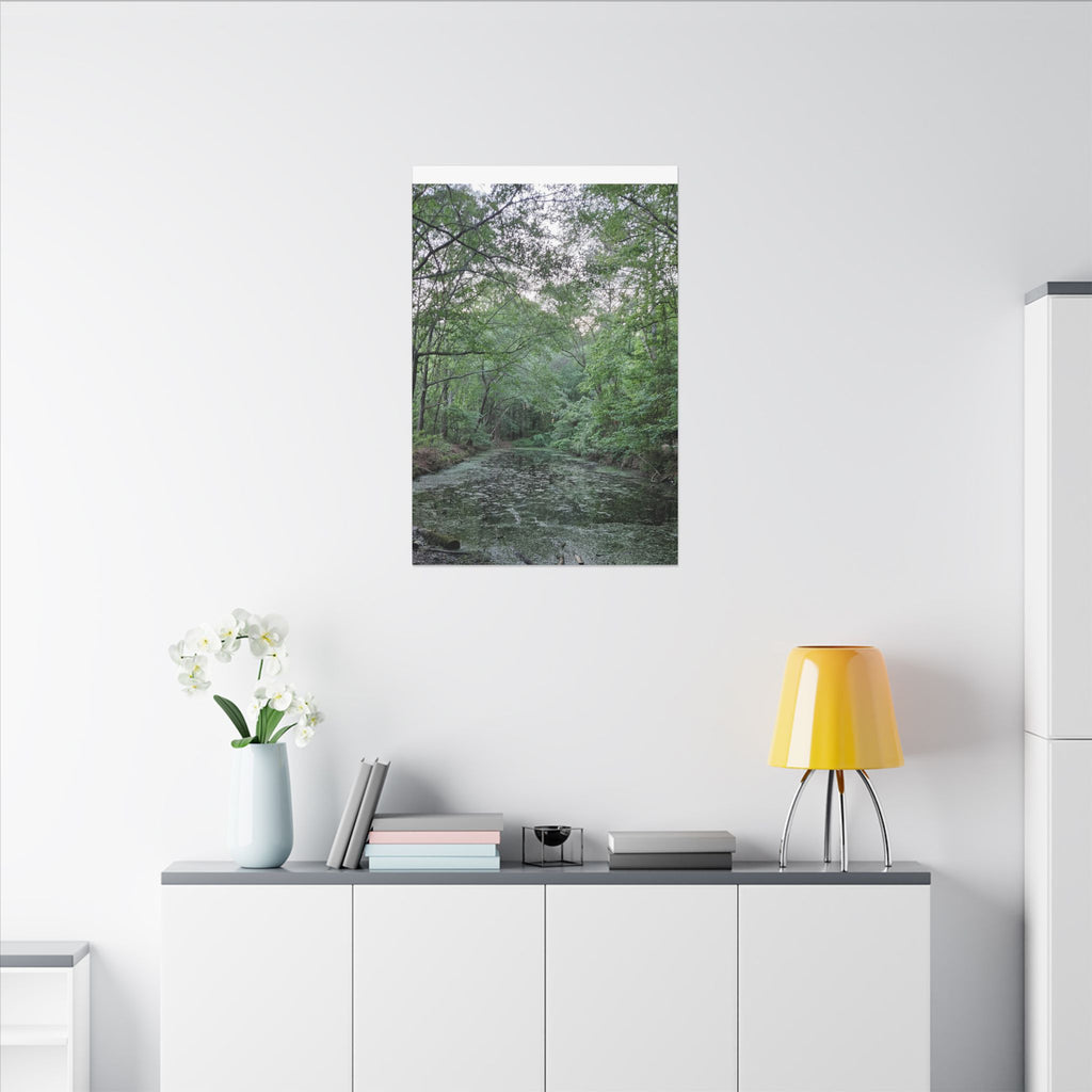 Mossy Pond Canvas Matte Stretched Wall Art