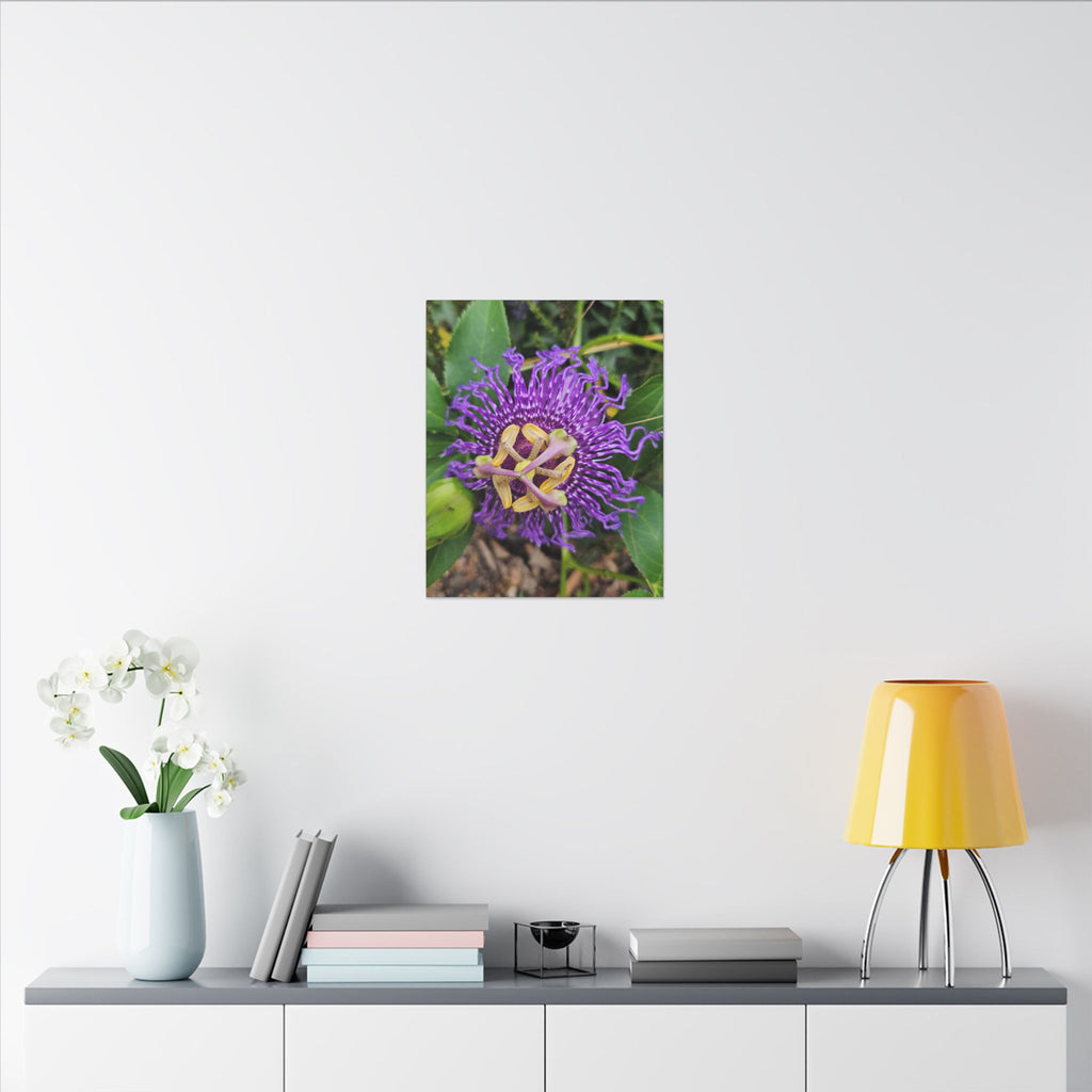 Purple Passionflower Botanical Canvas