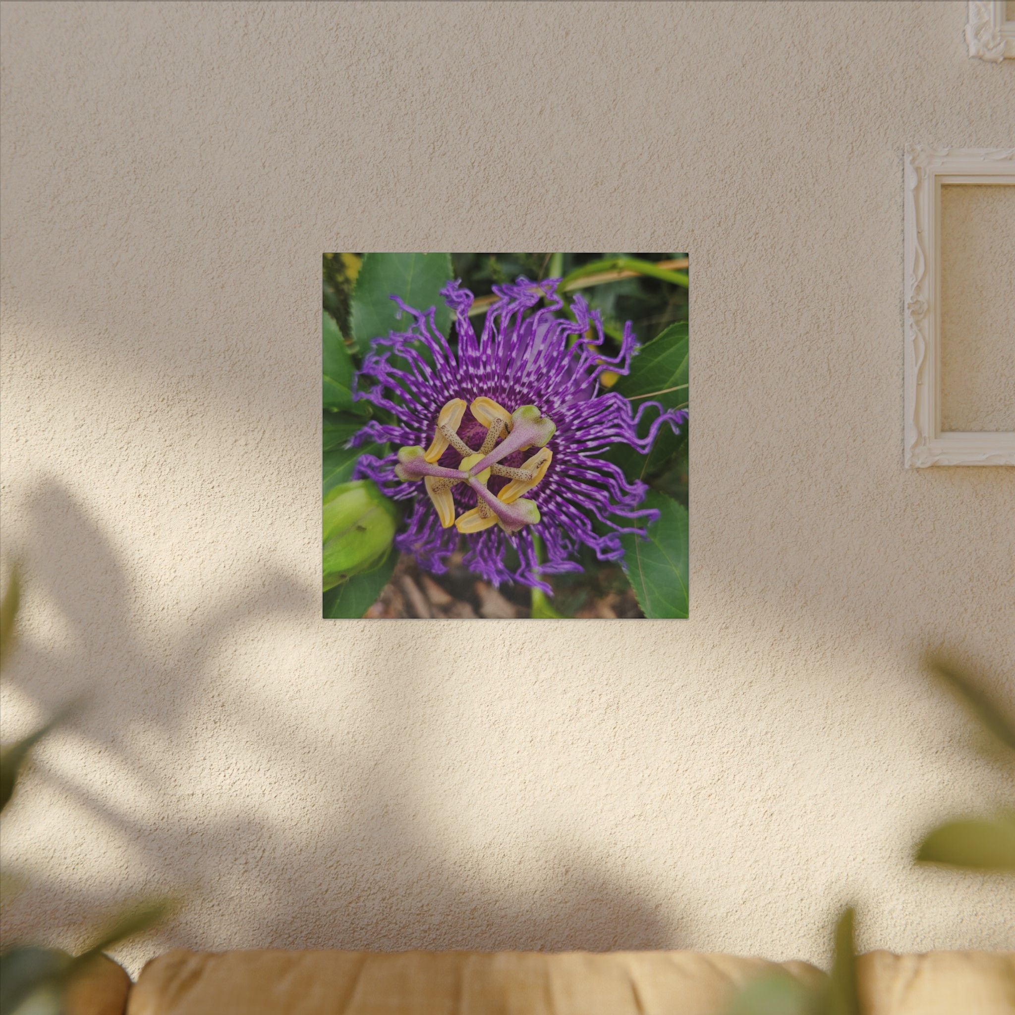 Purple Passionflower Botanical Canvas