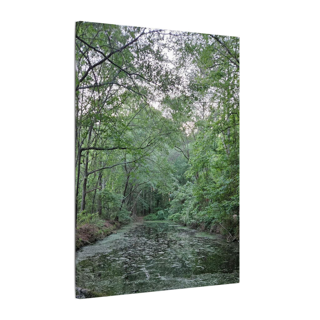 Mossy Pond Canvas Matte Stretched Wall Art