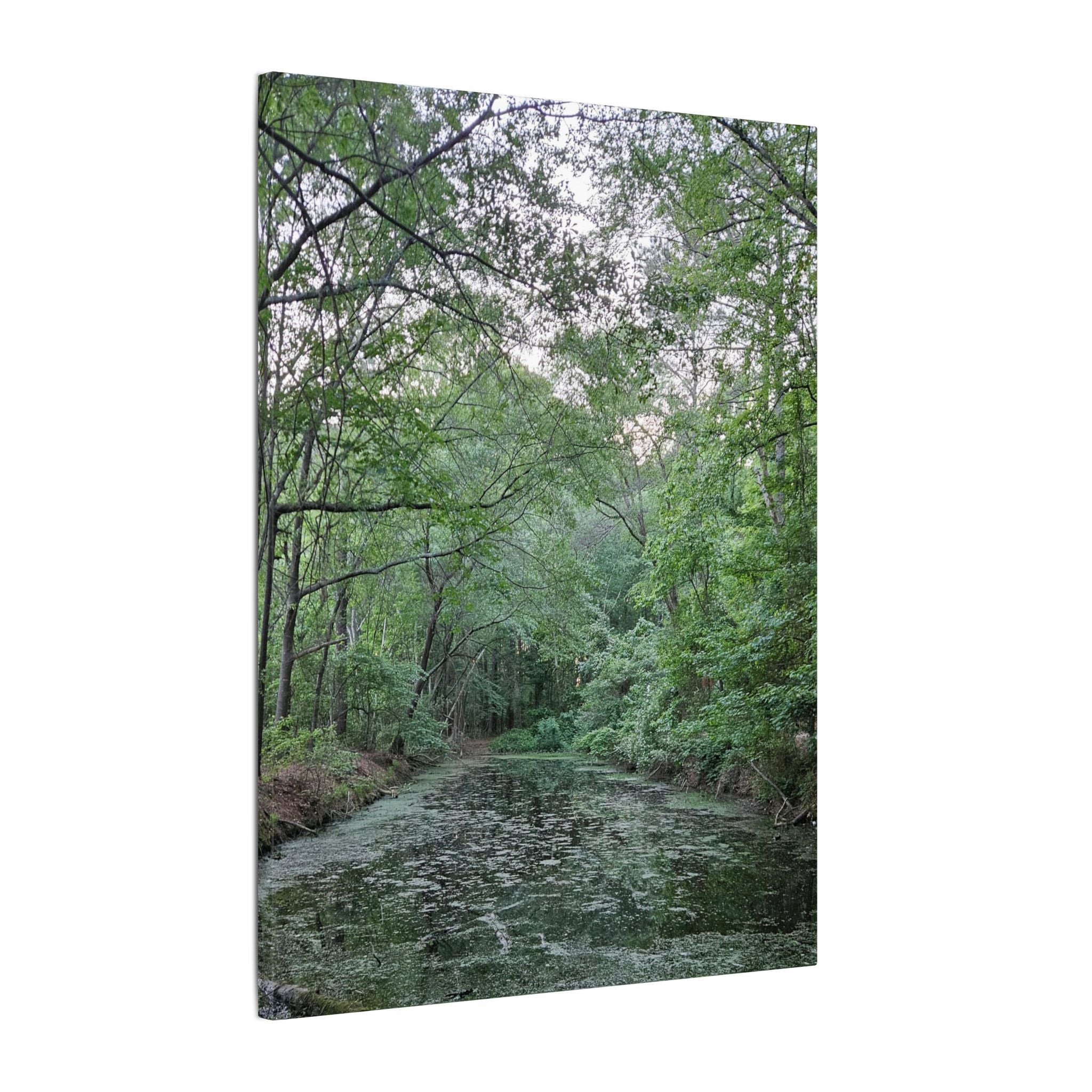 Mossy Pond Canvas Matte Stretched Wall Art