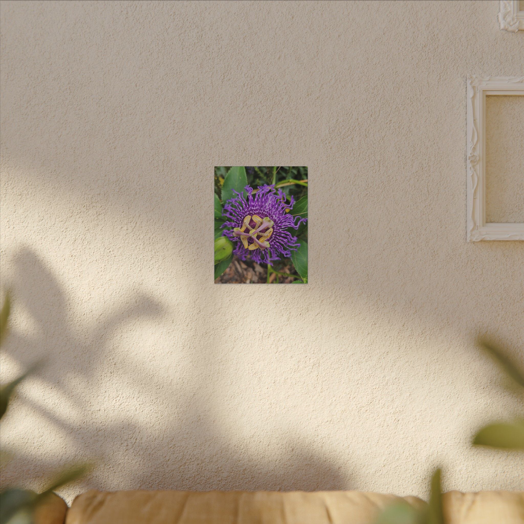 Purple Passionflower Botanical Canvas
