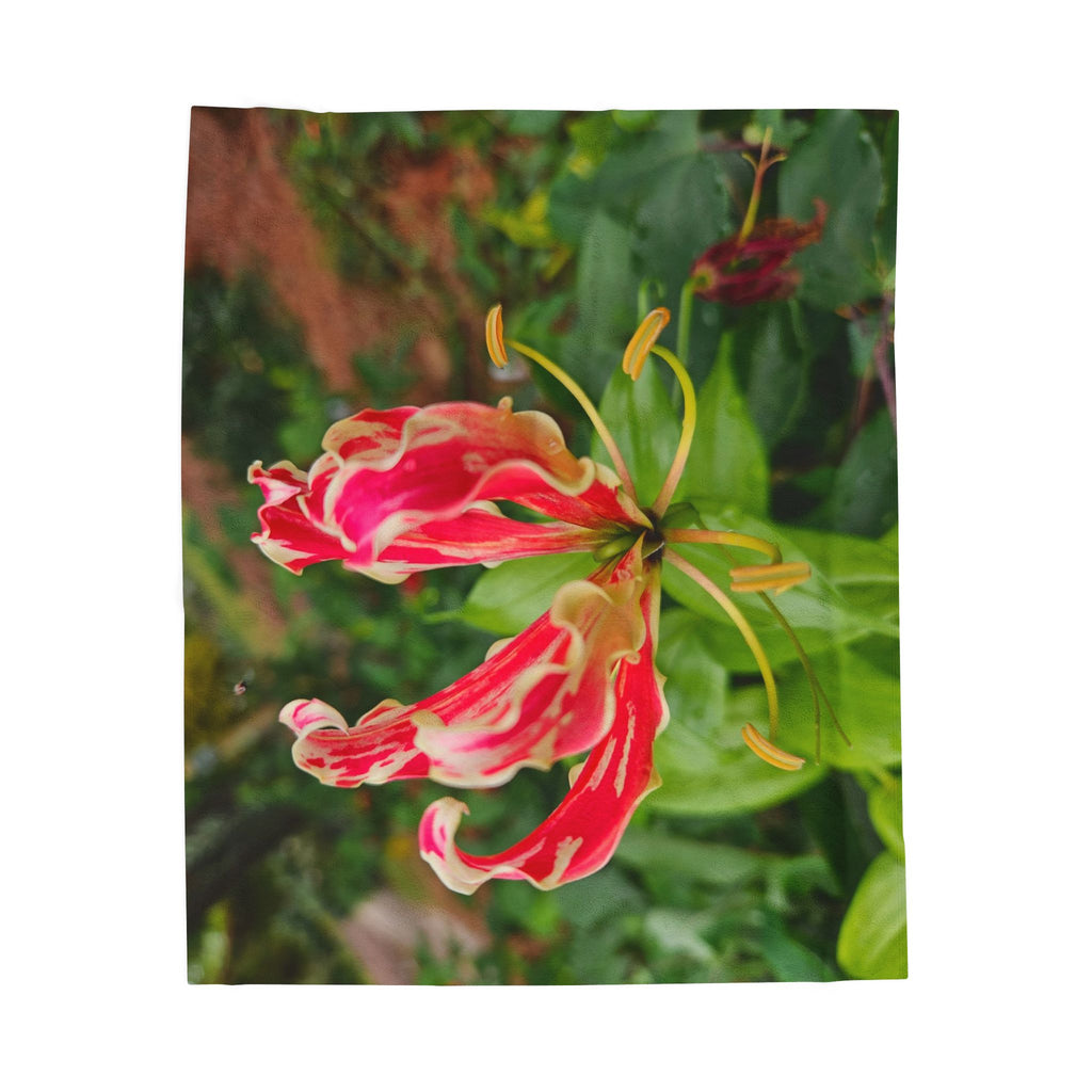 Red Gloriosa Lily Blanket | Botanical Floral Velveteen Plush