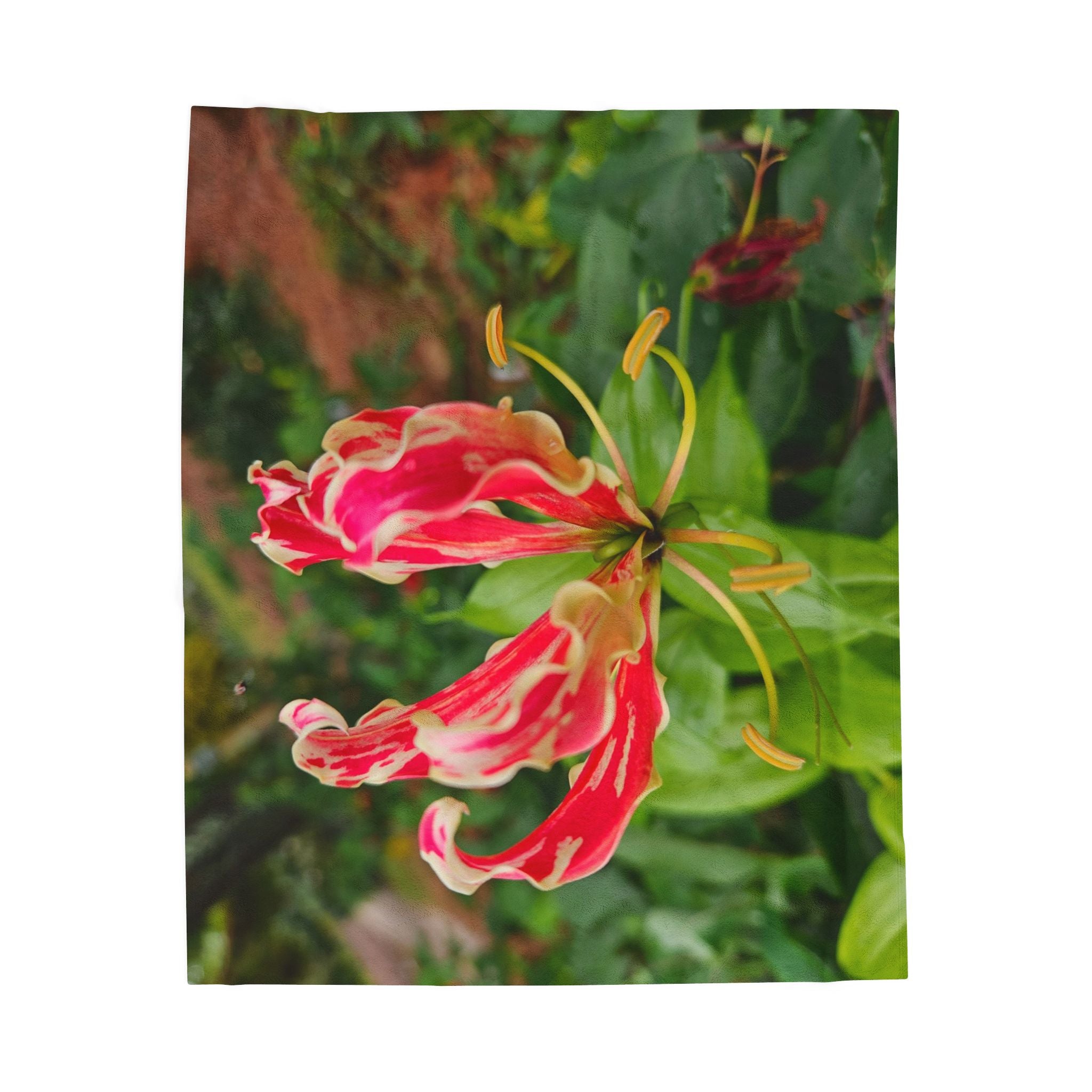 Red Gloriosa Lily Blanket | Botanical Floral Velveteen Plush