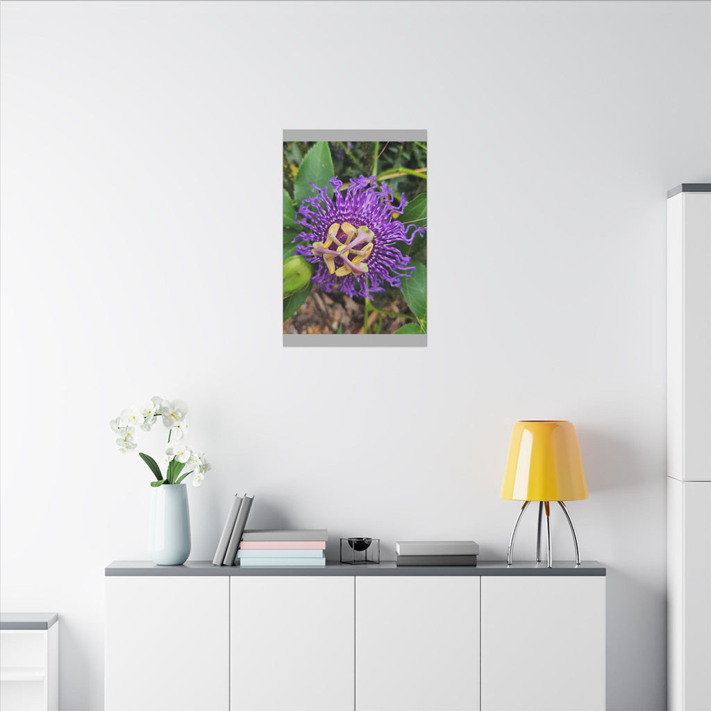 Purple Passionflower Botanical Canvas