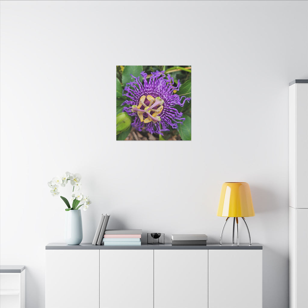 Purple Passionflower Botanical Canvas