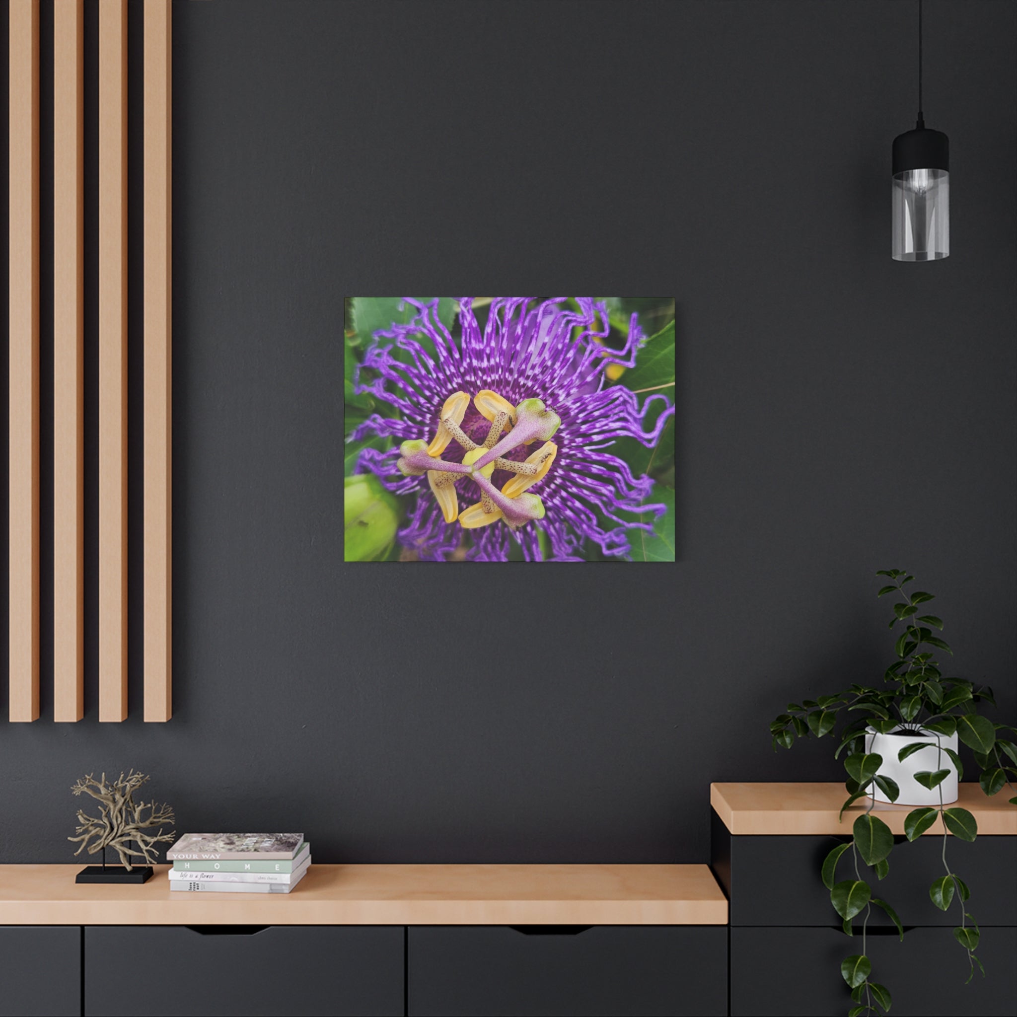 Purple Passionflower Close-Up Matte Canvas Print (Stretched)