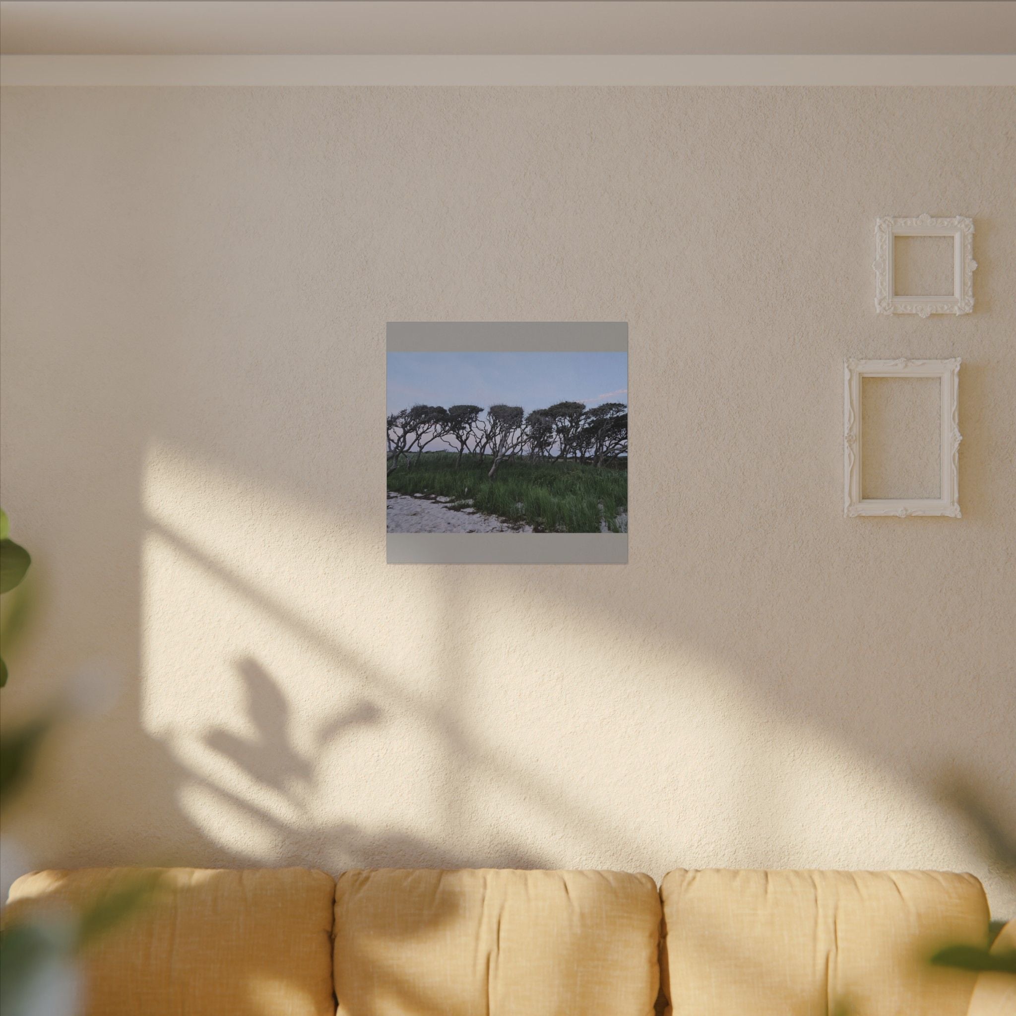 Coastal Windblown Trees Canvas