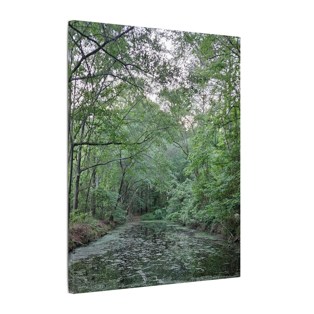 Mossy Pond Canvas Matte Stretched Wall Art