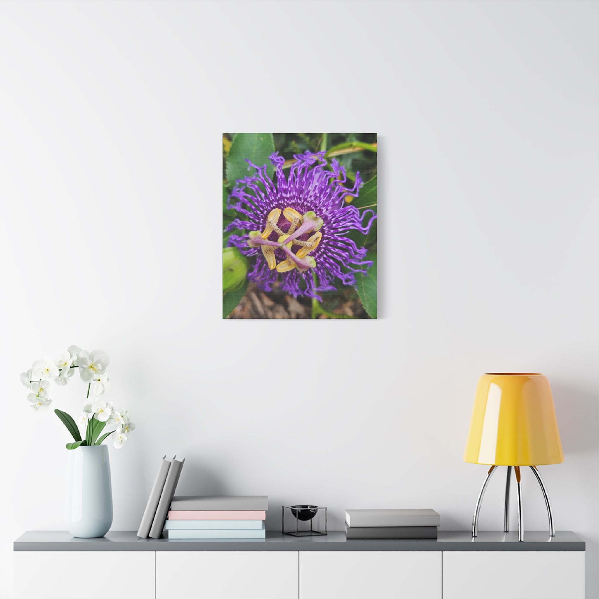 Purple Passionflower Close-Up Matte Canvas Print (Stretched)