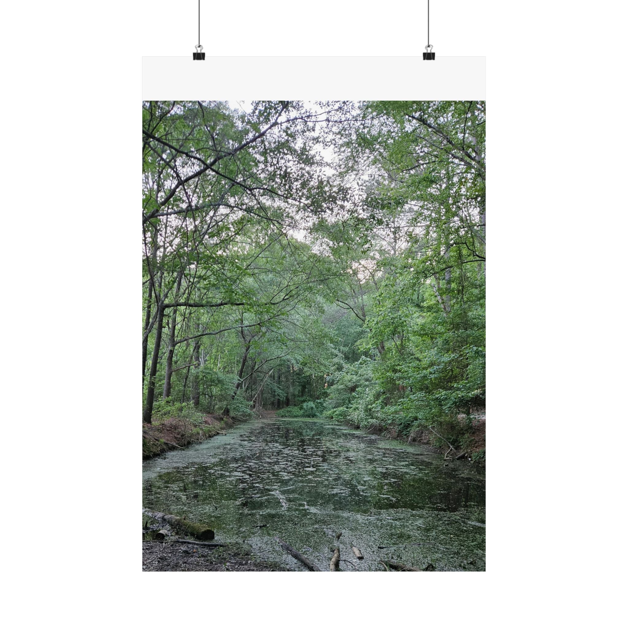 Mossy Pond Matte Poster | Vertical Nature Wall Art