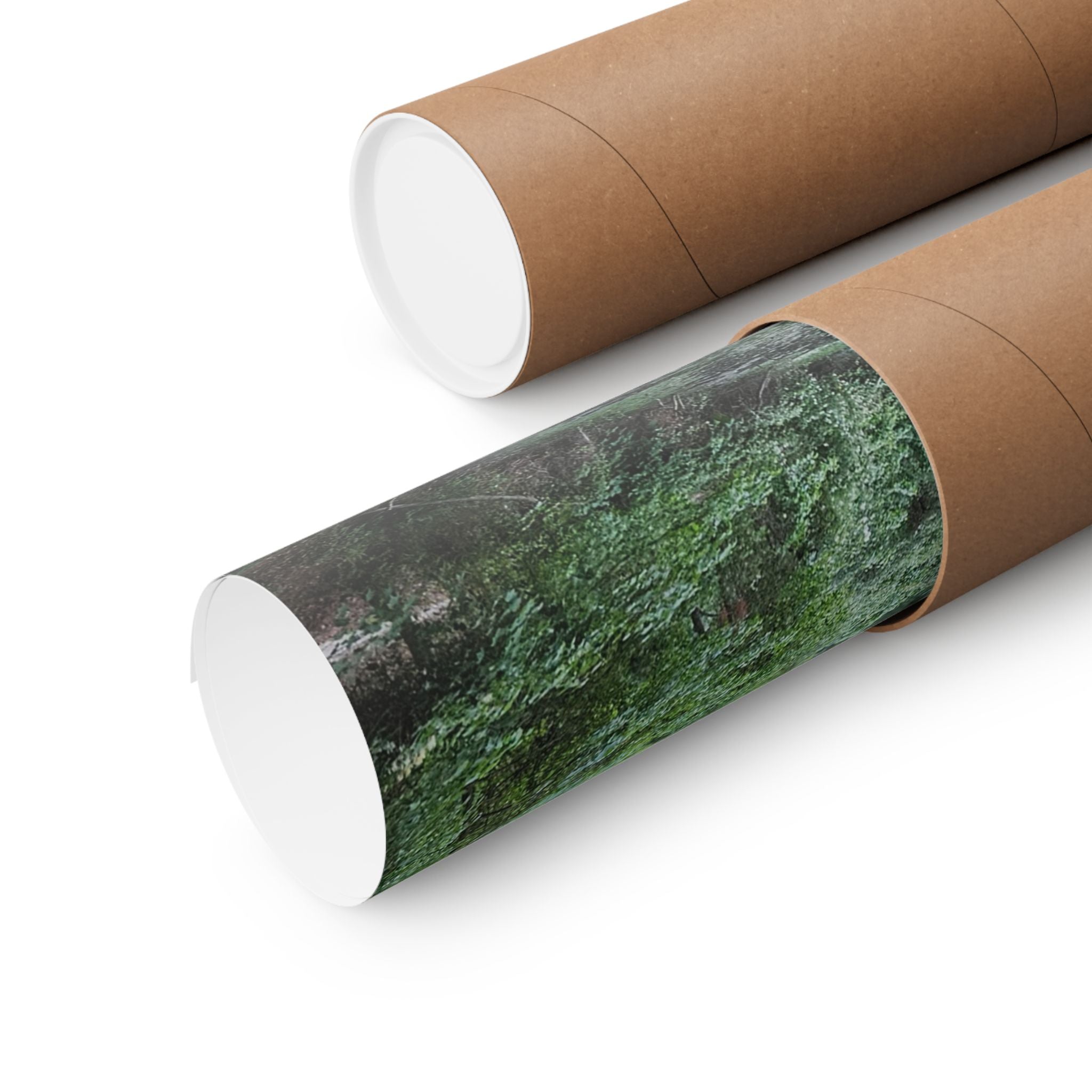 Mossy Pond Matte Poster | Vertical Nature Wall Art