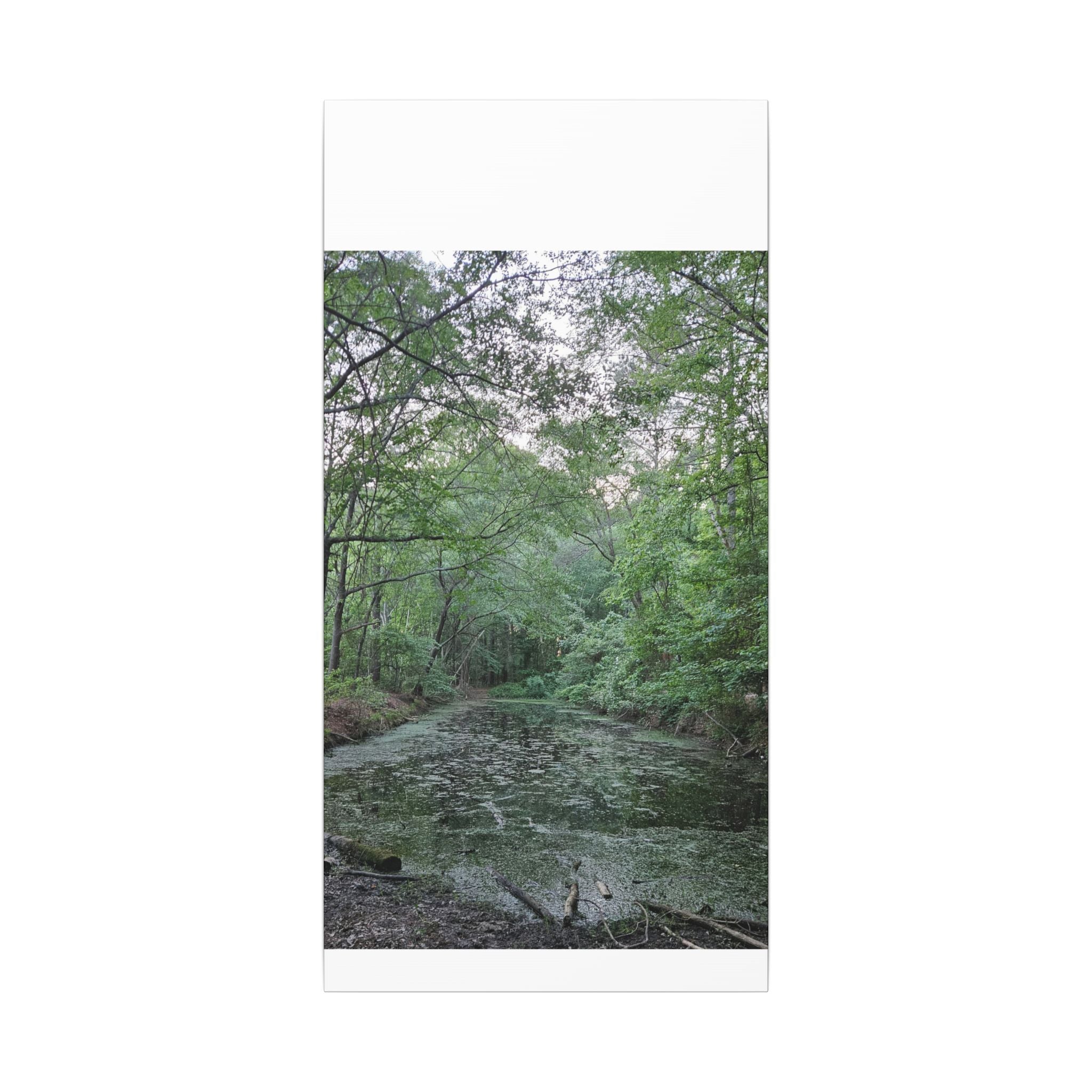 Mossy Pond Canvas Matte Stretched Wall Art