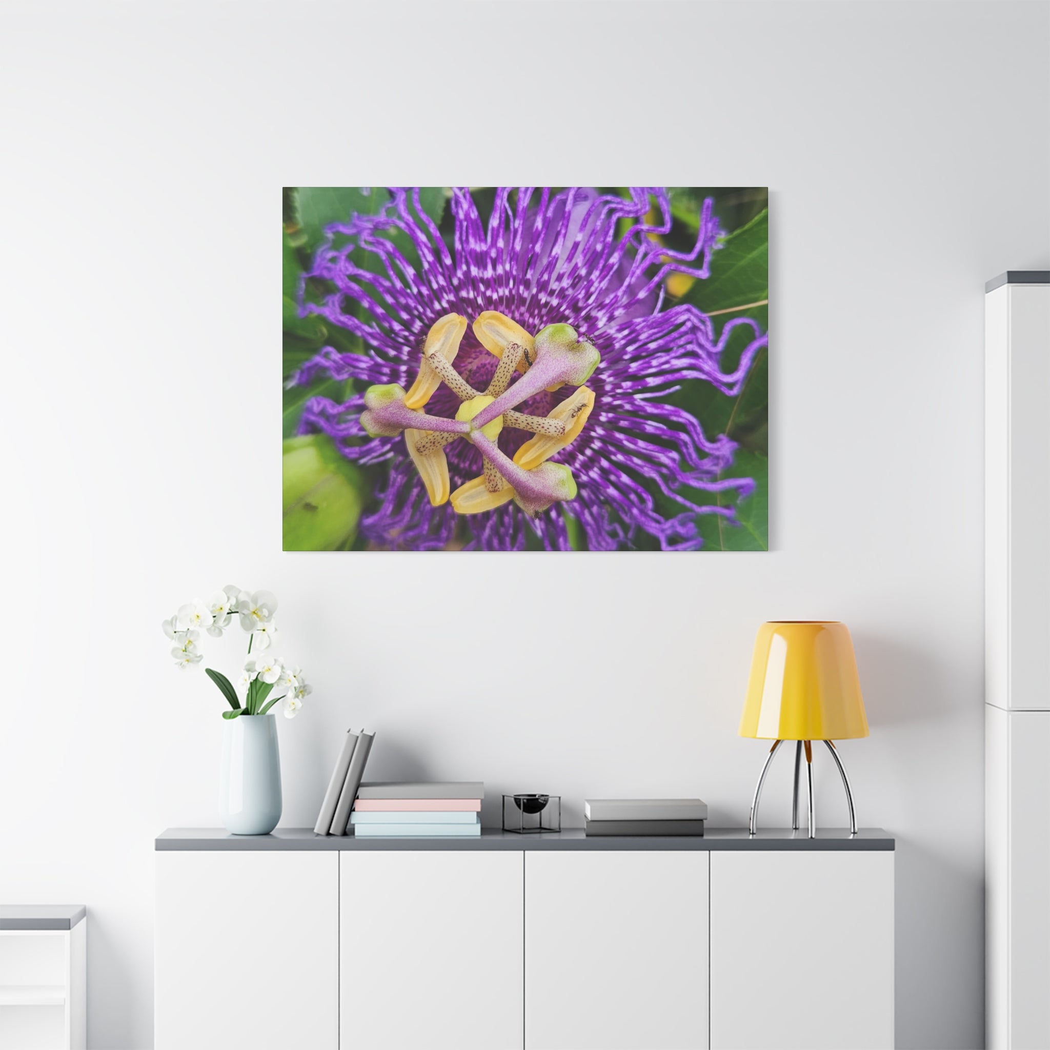 Purple Passionflower Close-Up Matte Canvas Print (Stretched)