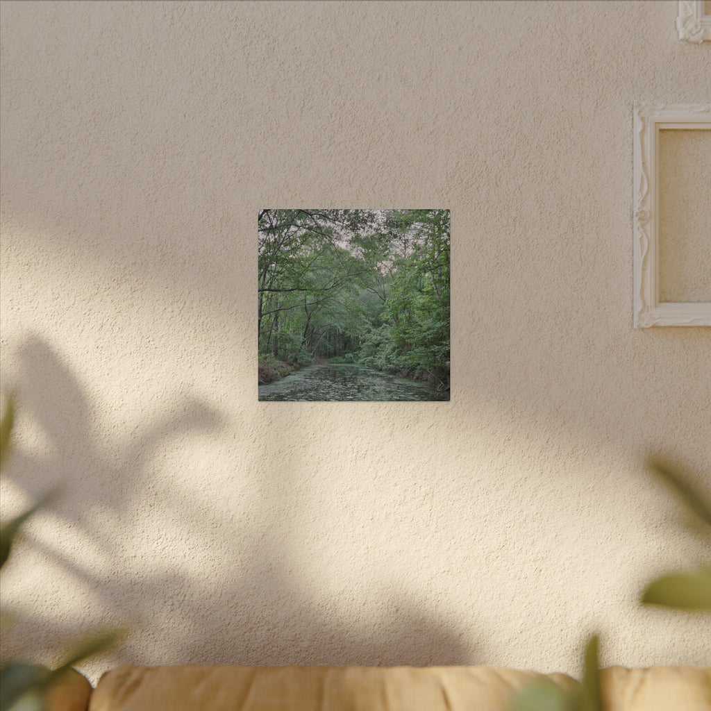 Mossy Pond Canvas Matte Stretched Wall Art