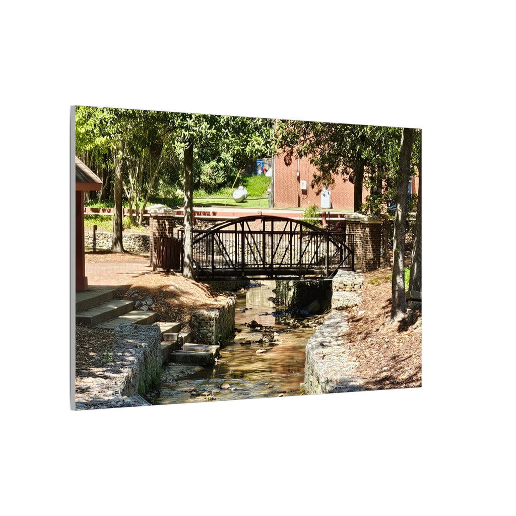Park Footbridge Photograph Matte Canvas | Stretched Wall Art