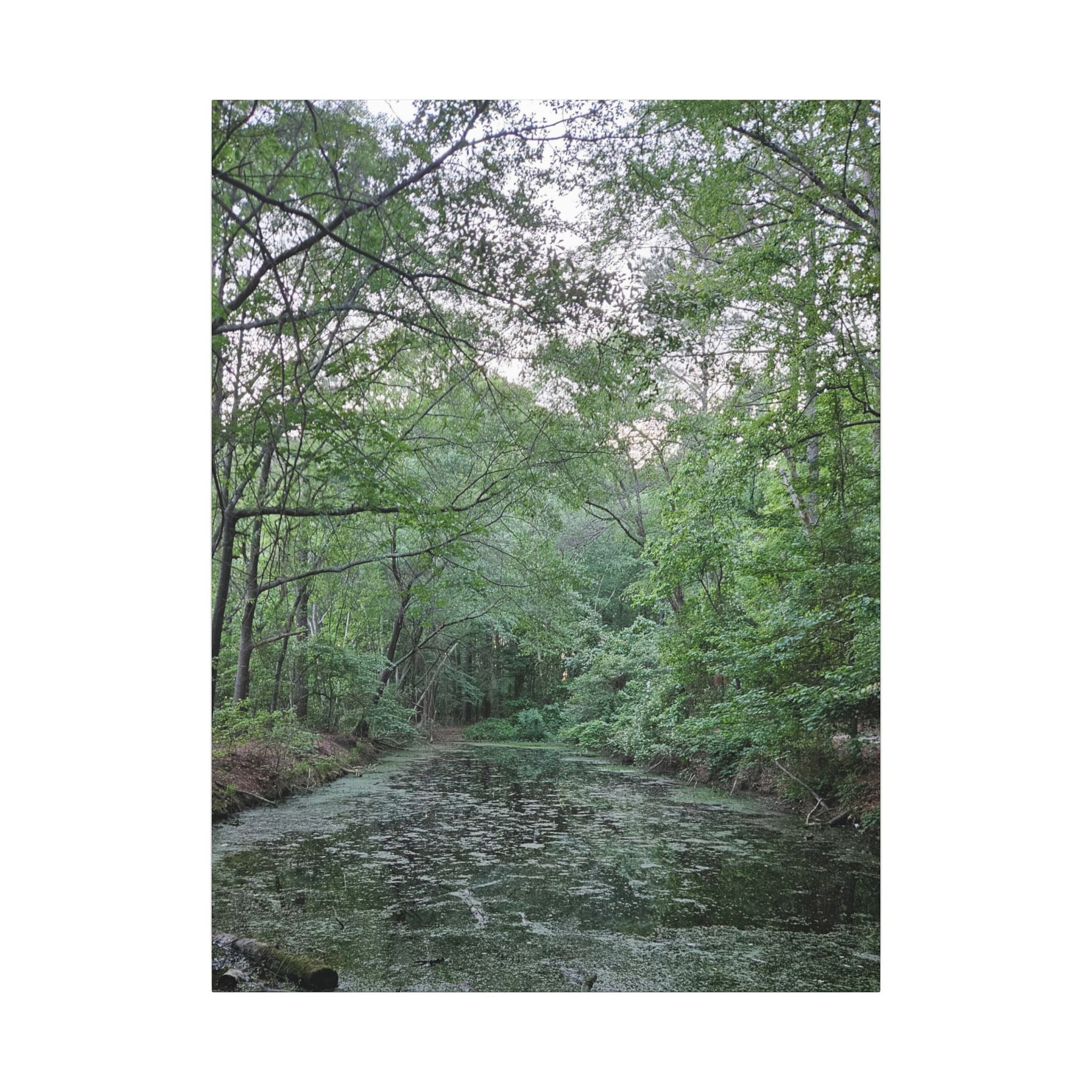 Mossy Pond Canvas Matte Stretched Wall Art