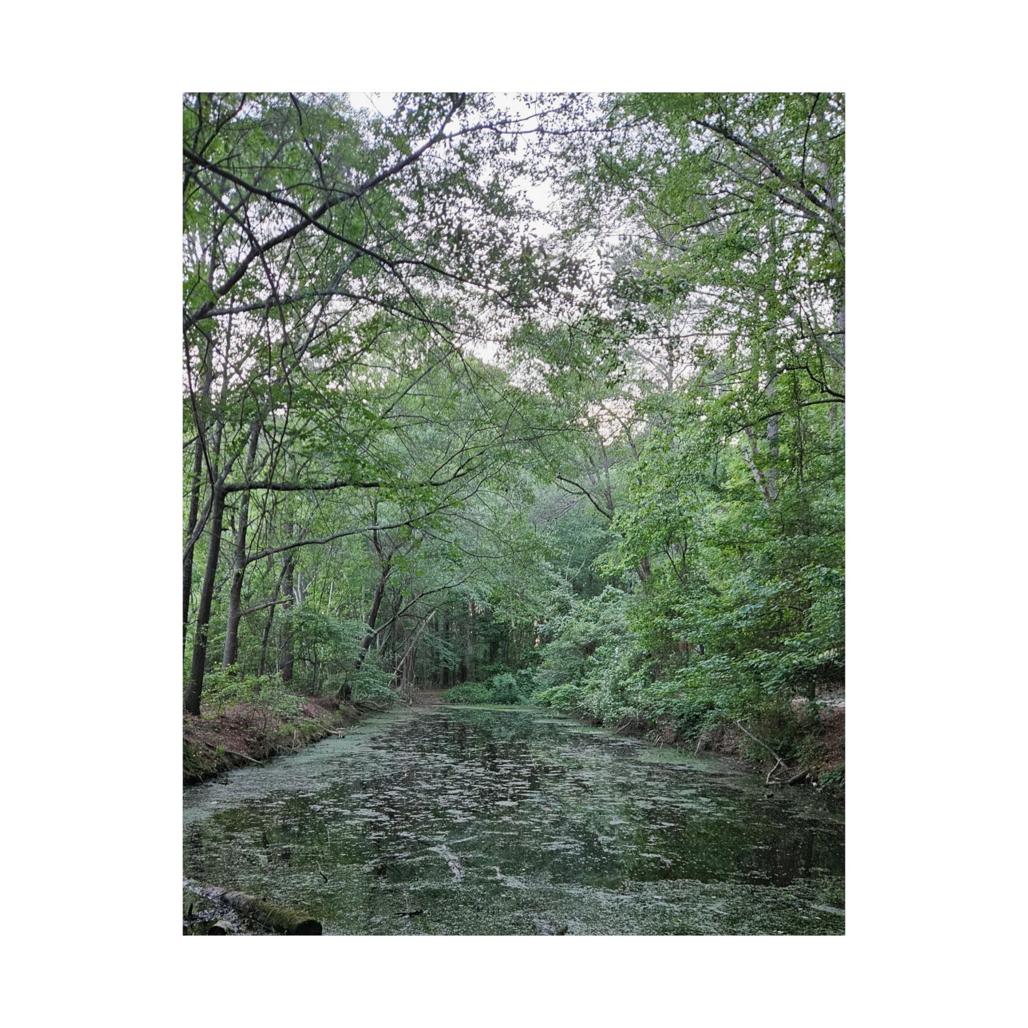 Mossy Pond Matte Poster | Vertical Nature Wall Art