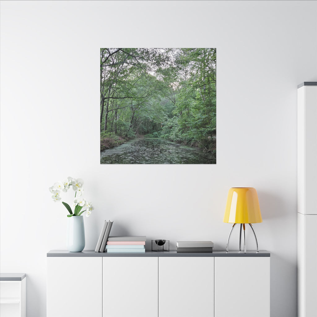 Mossy Pond Canvas Matte Stretched Wall Art