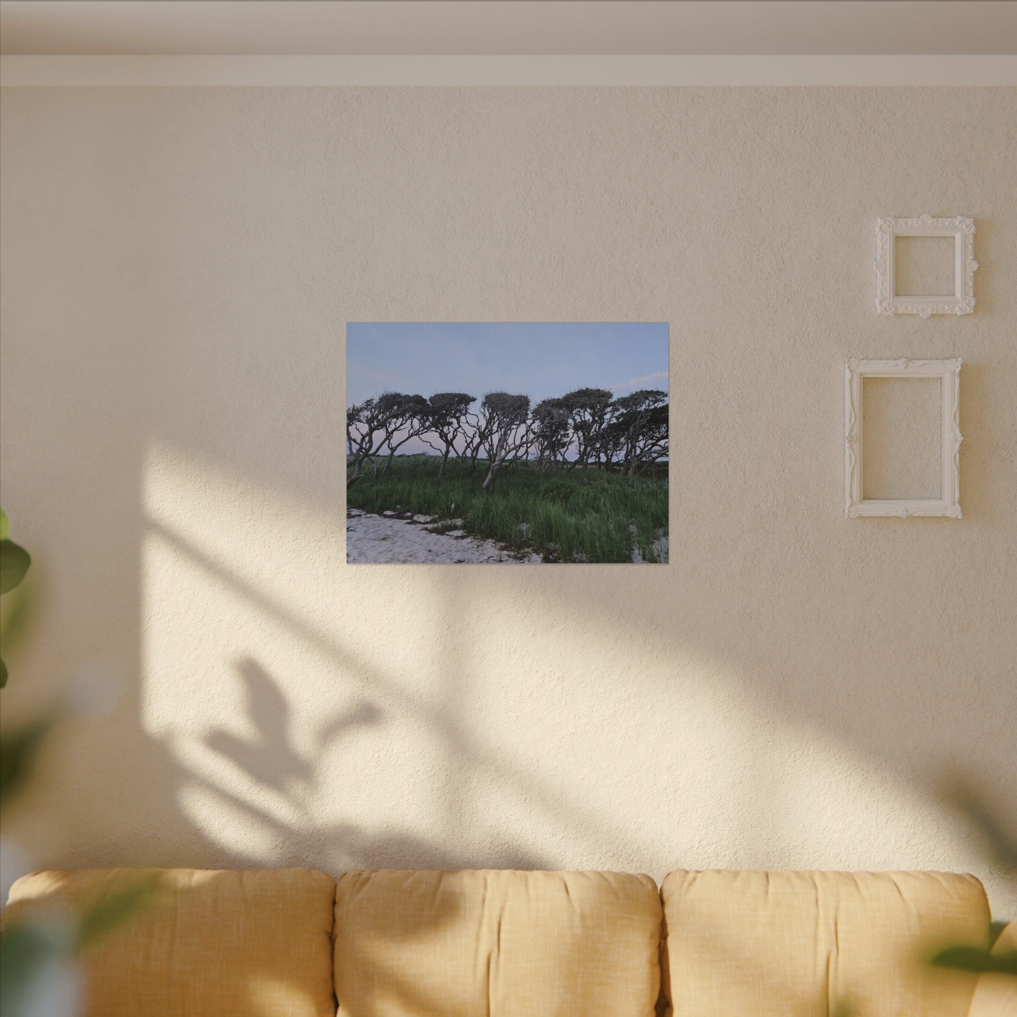Coastal Windblown Trees Canvas