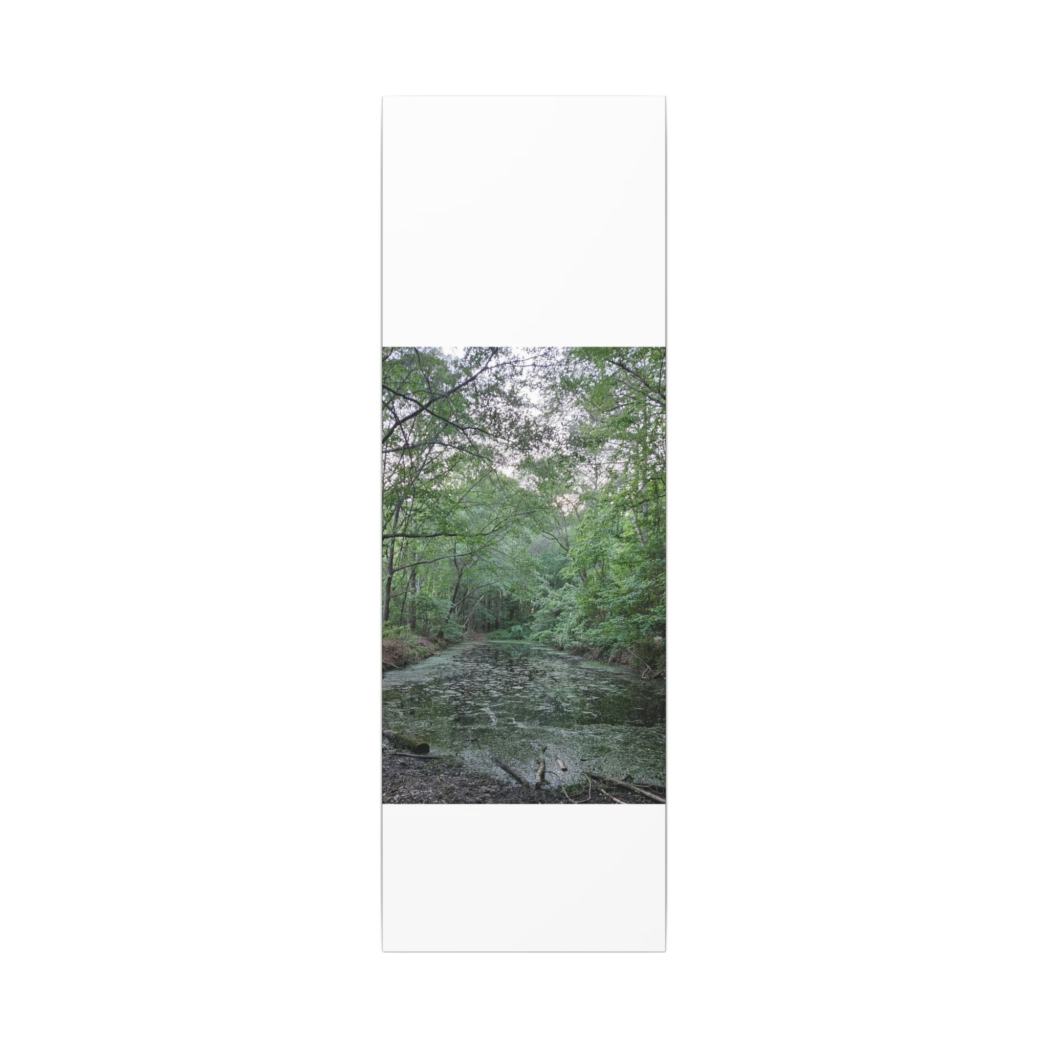 Mossy Pond Canvas Matte Stretched Wall Art