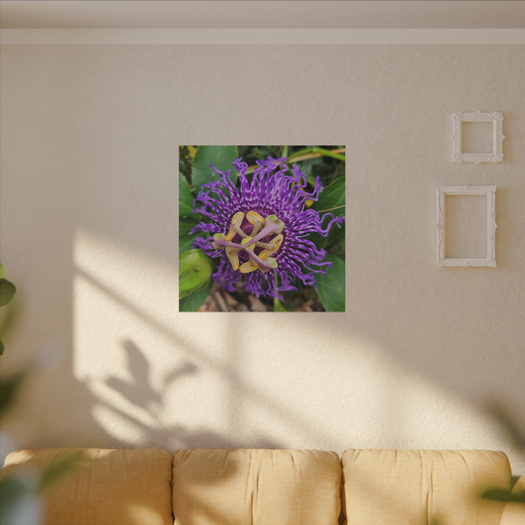 Purple Passionflower Botanical Canvas
