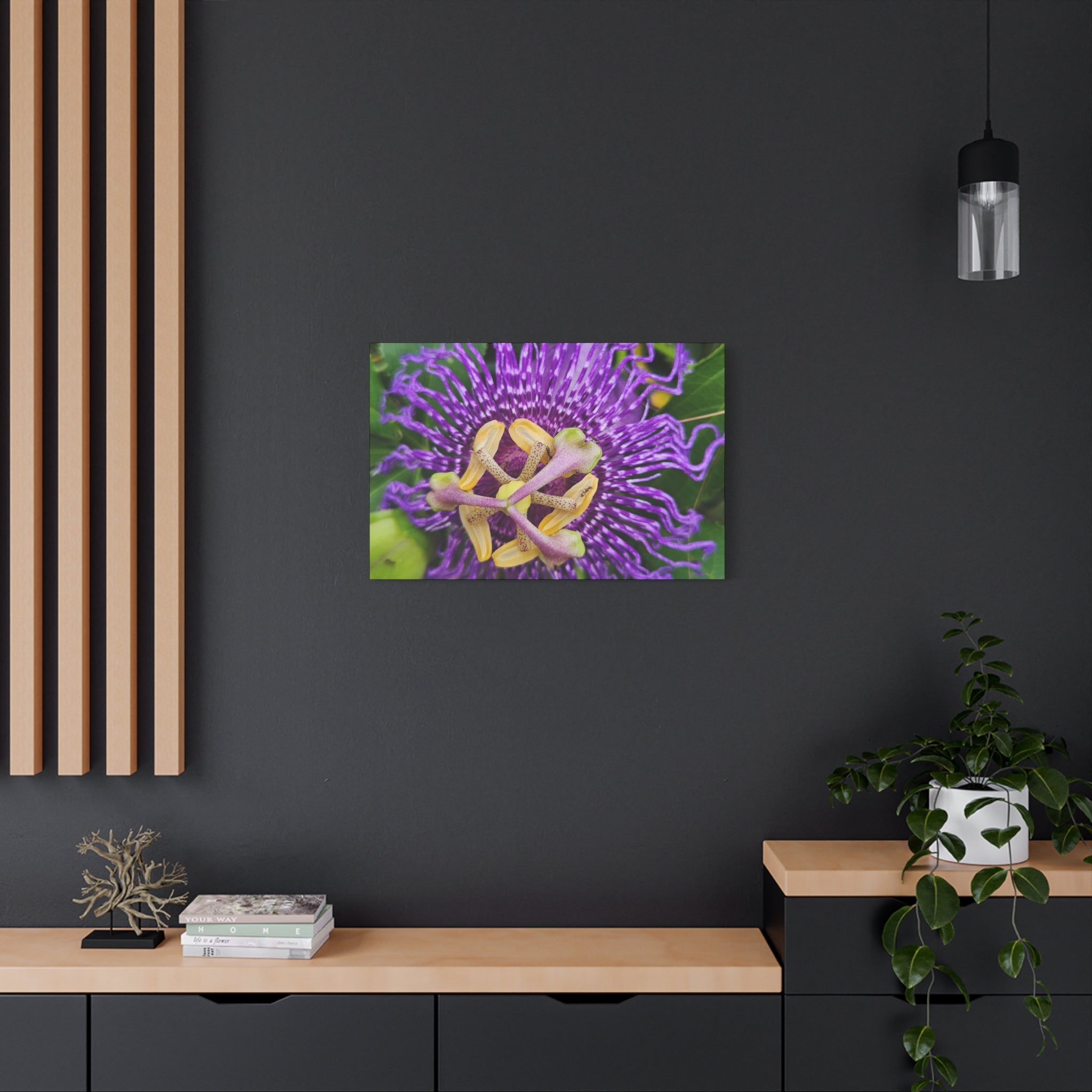Purple Passionflower Close-Up Matte Canvas Print (Stretched)