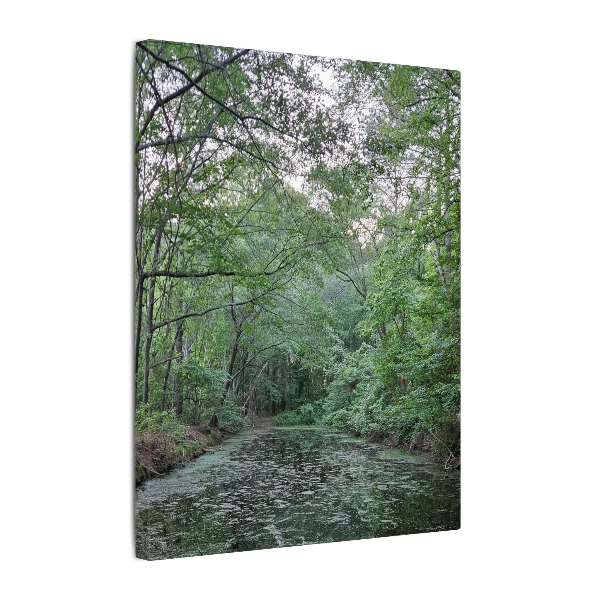Mossy Pond Canvas Matte Stretched Wall Art