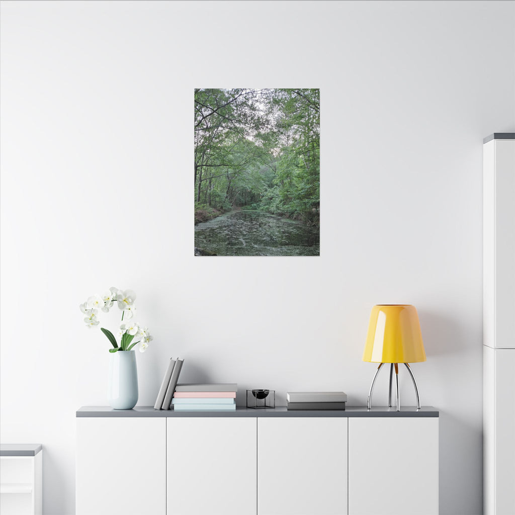 Mossy Pond Canvas Matte Stretched Wall Art