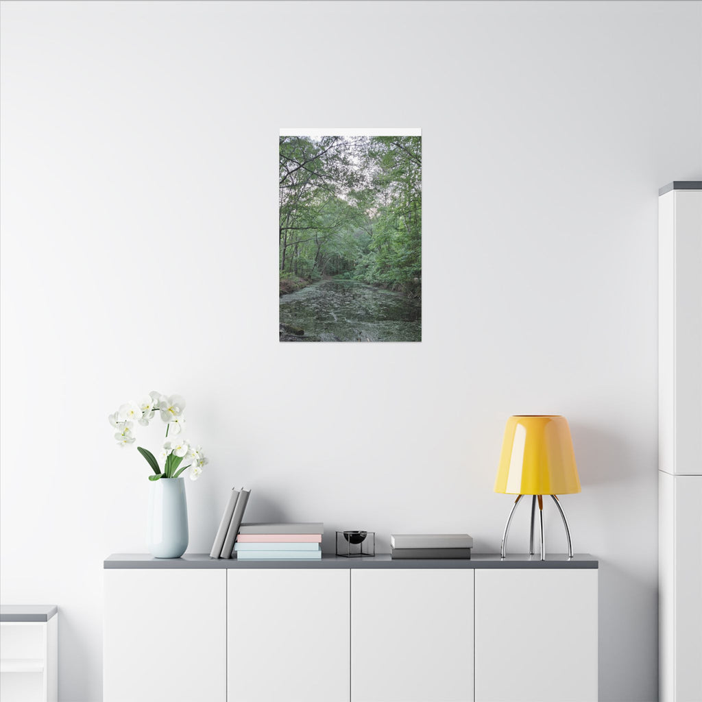 Mossy Pond Canvas Matte Stretched Wall Art