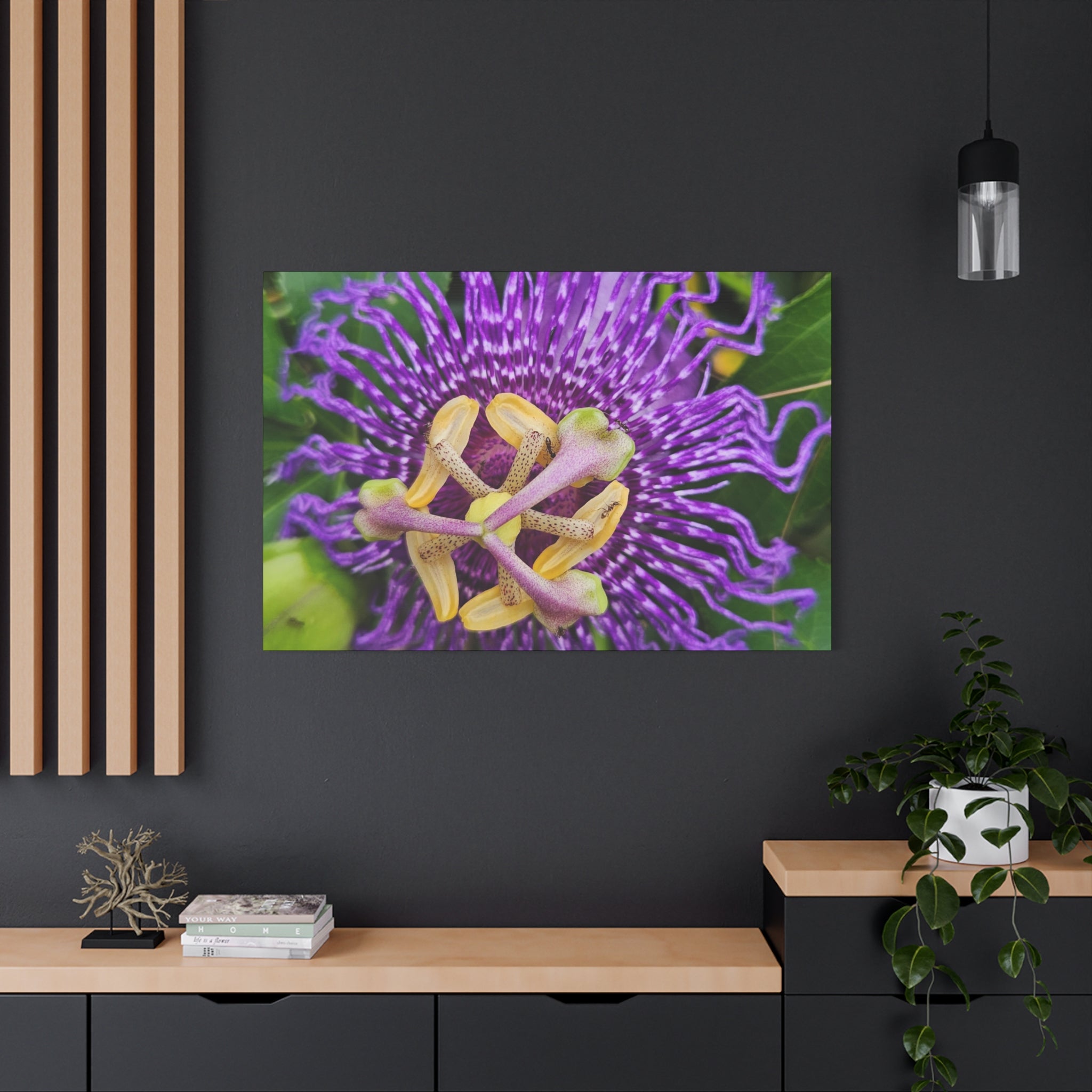 Purple Passionflower Close-Up Matte Canvas Print (Stretched)