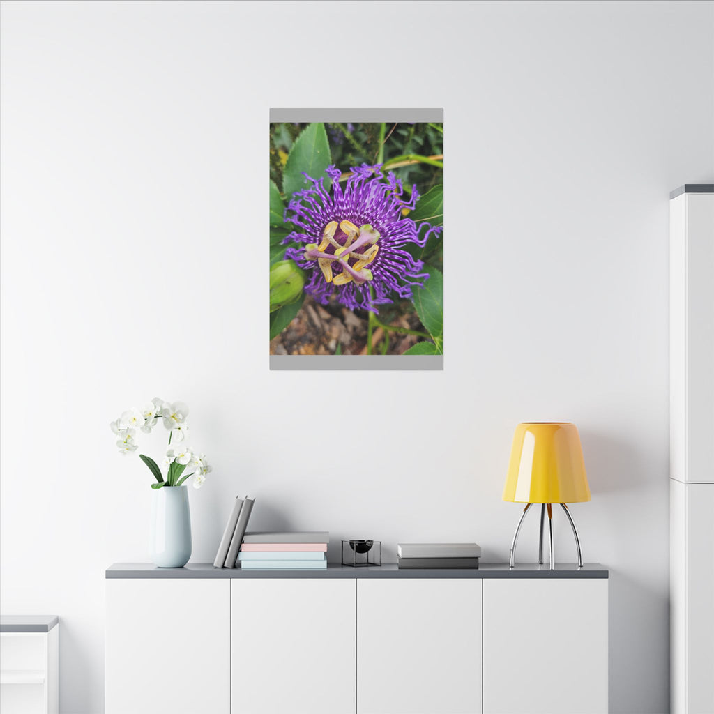 Purple Passionflower Botanical Canvas