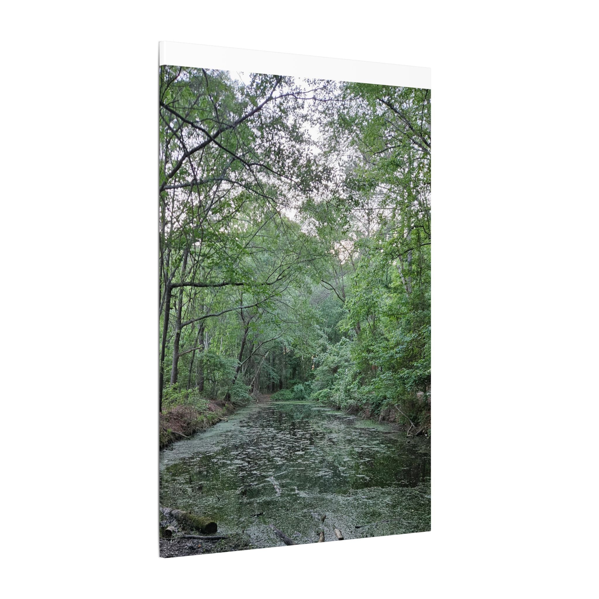 Mossy Pond Canvas Matte Stretched Wall Art