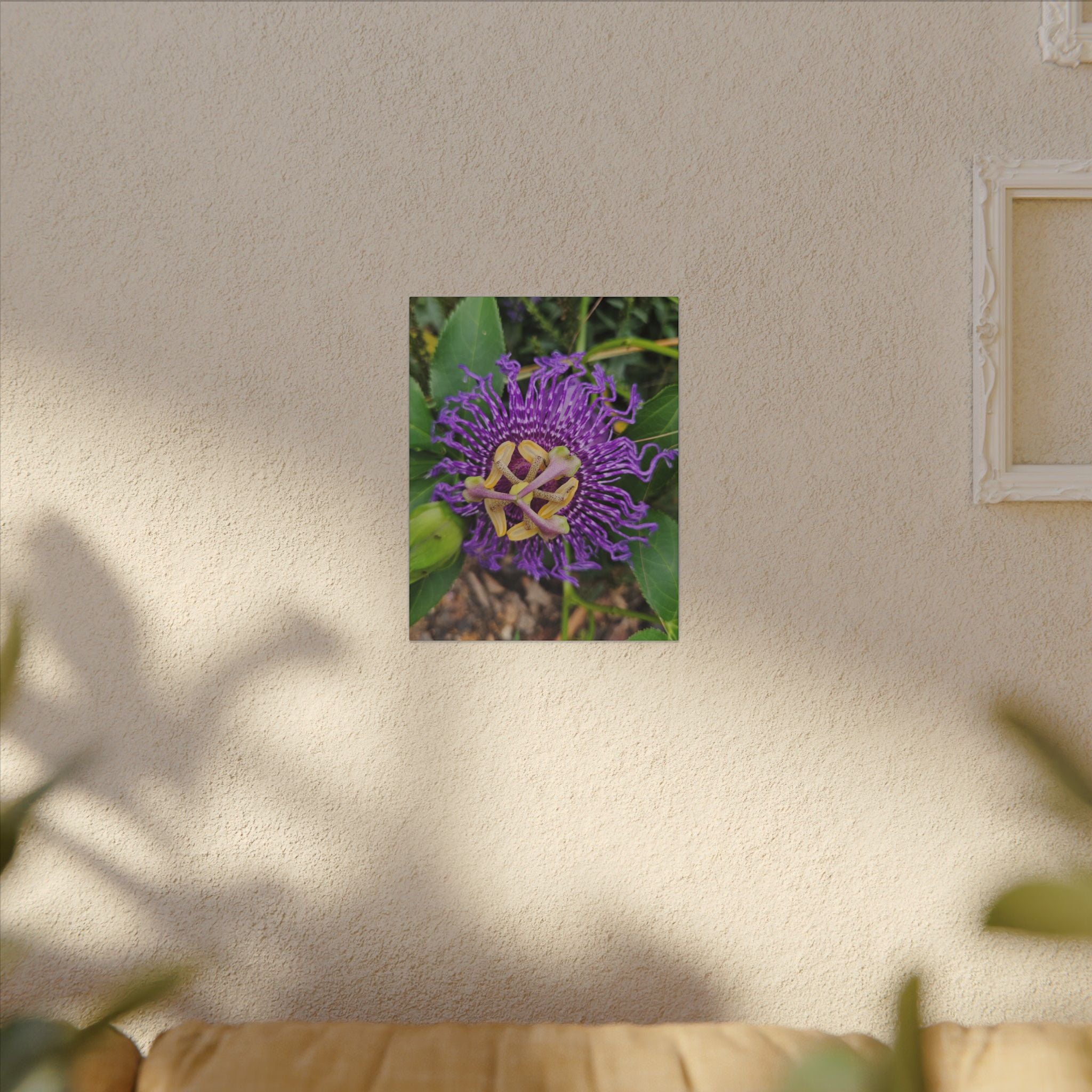 Purple Passionflower Botanical Canvas