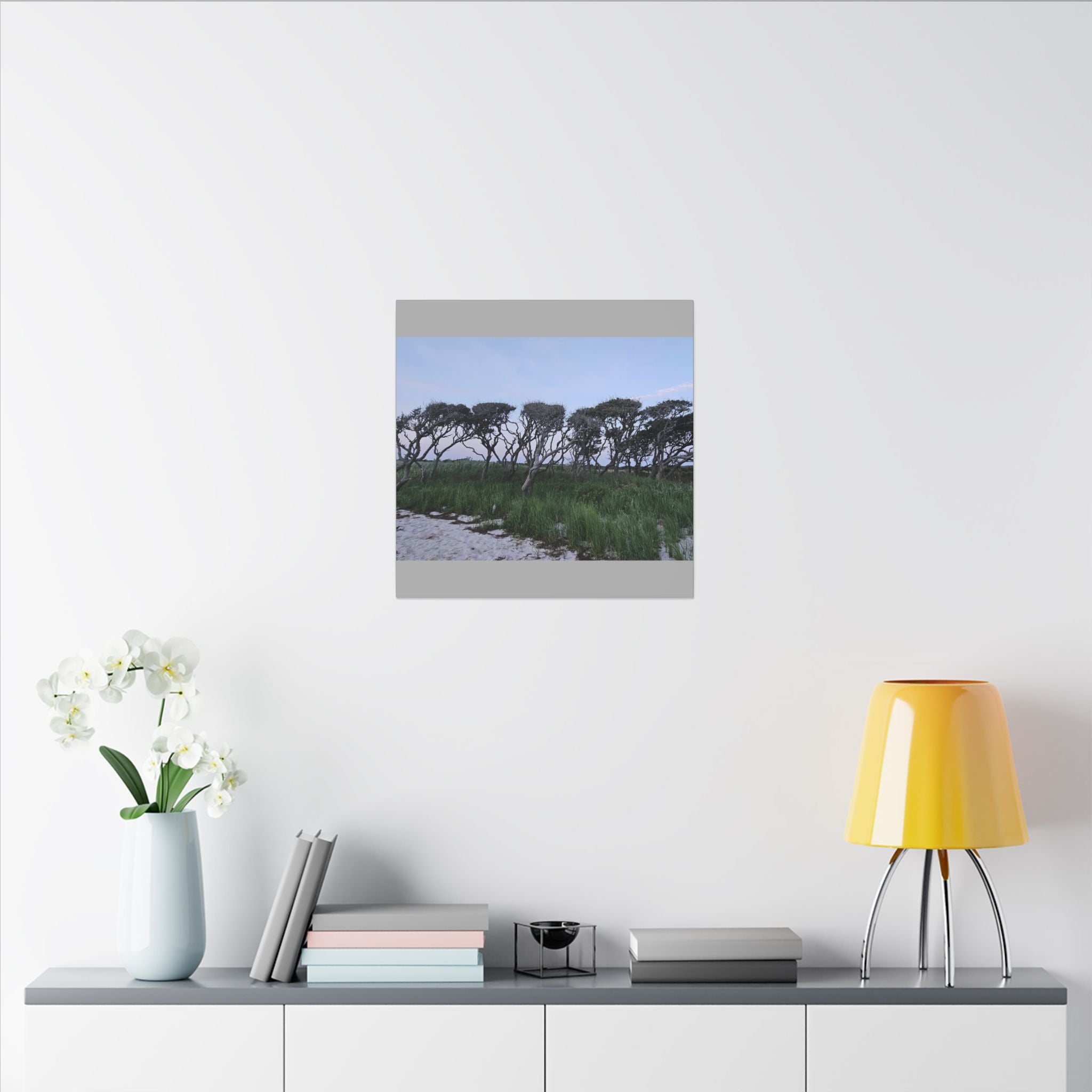 Coastal Windblown Trees Canvas