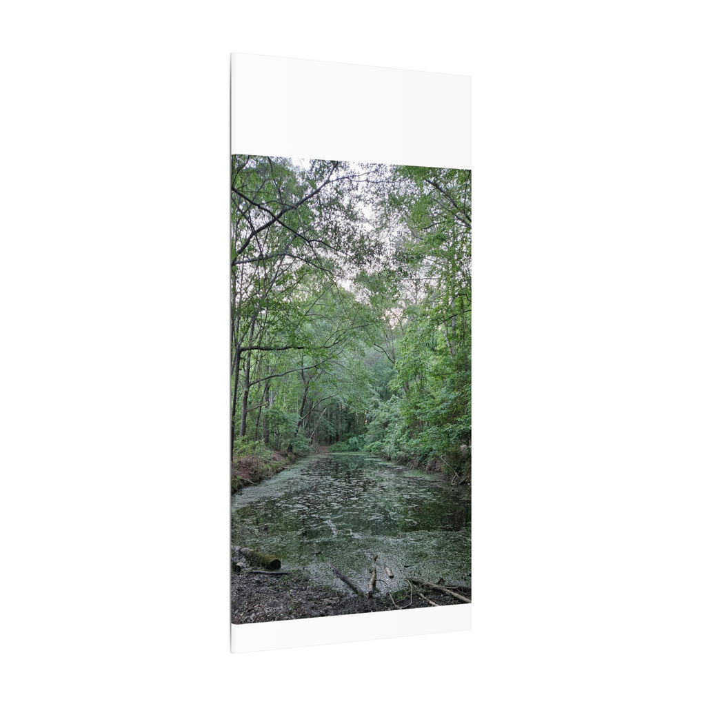 Mossy Pond Canvas Matte Stretched Wall Art