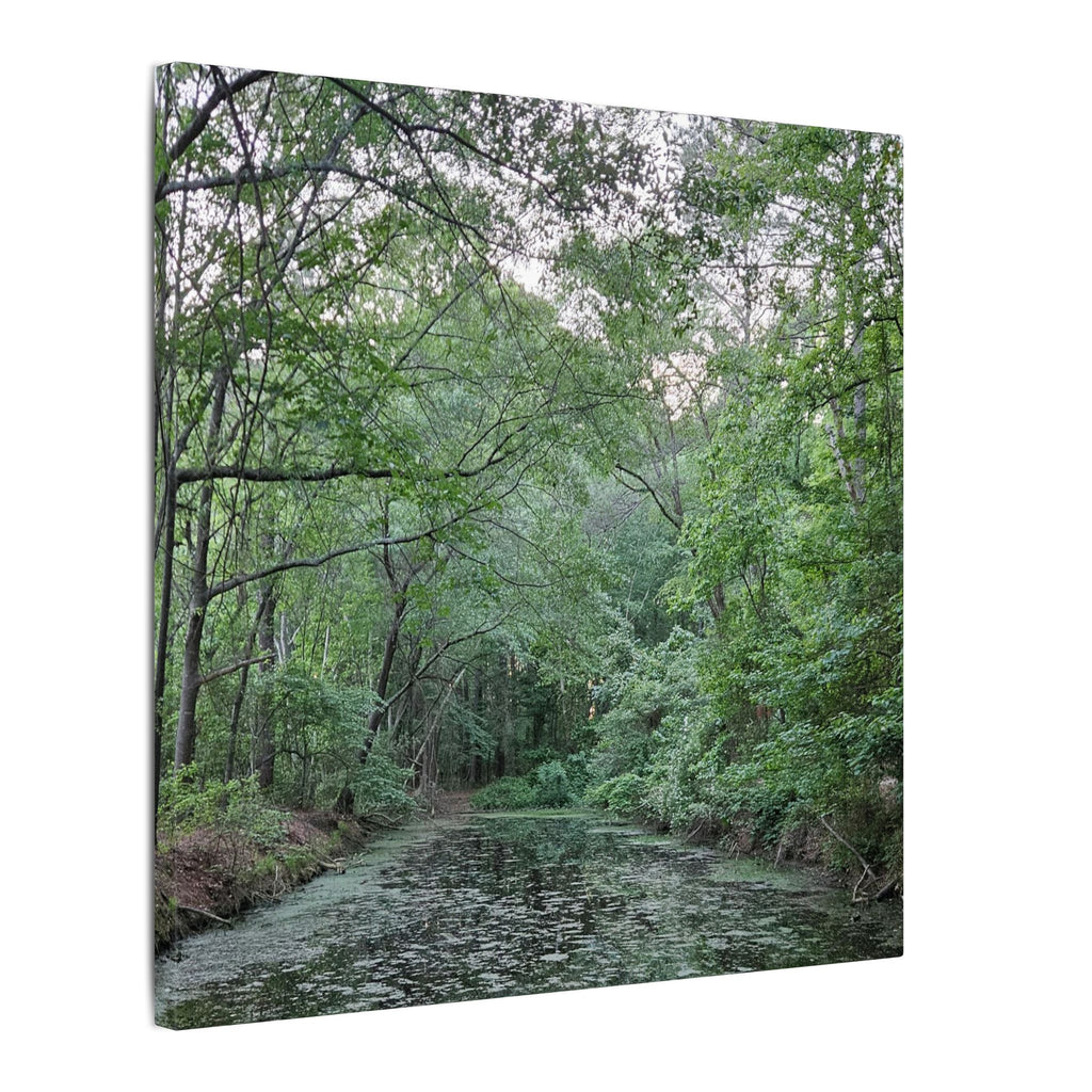 Mossy Pond Canvas Matte Stretched Wall Art