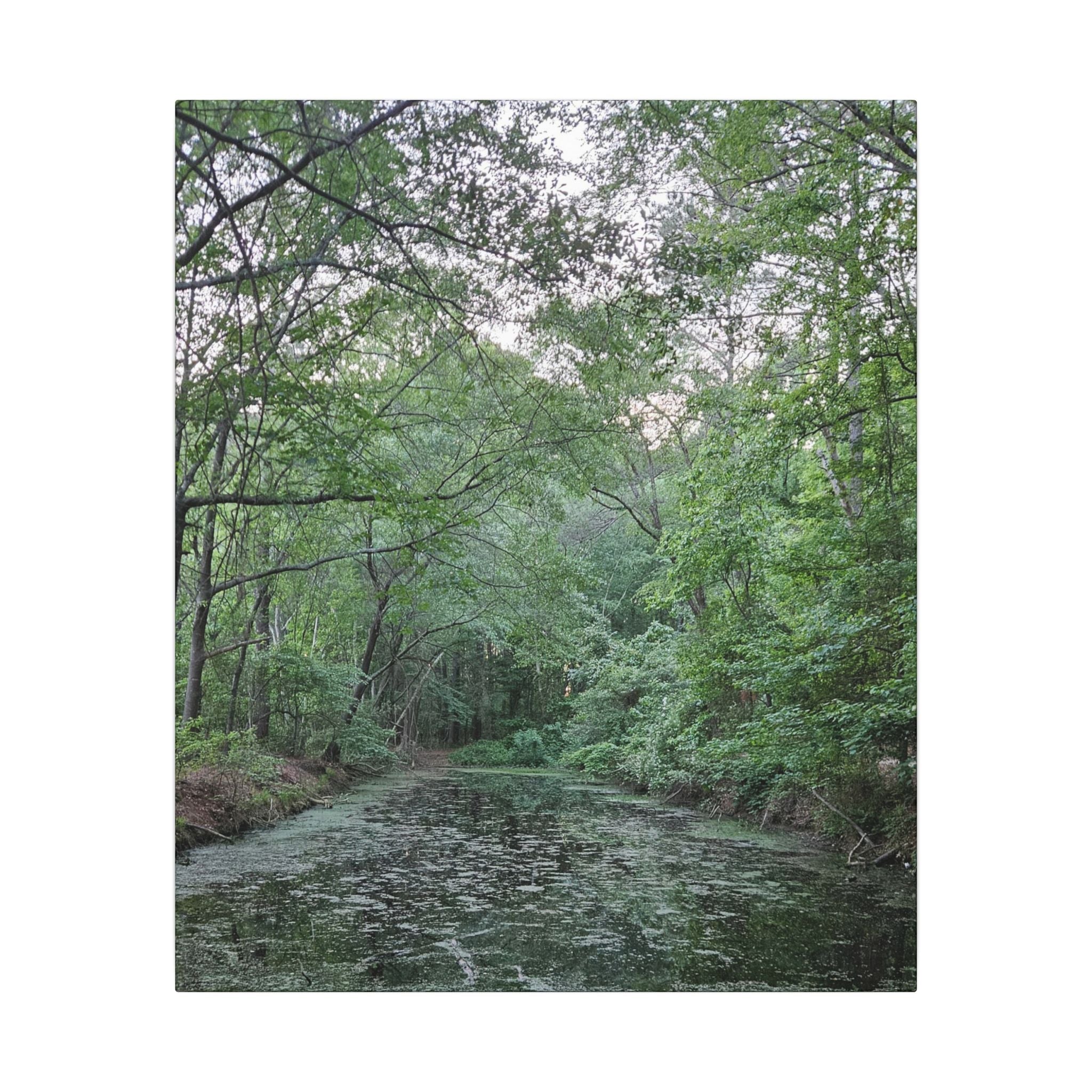 Mossy Pond Canvas Matte Stretched Wall Art
