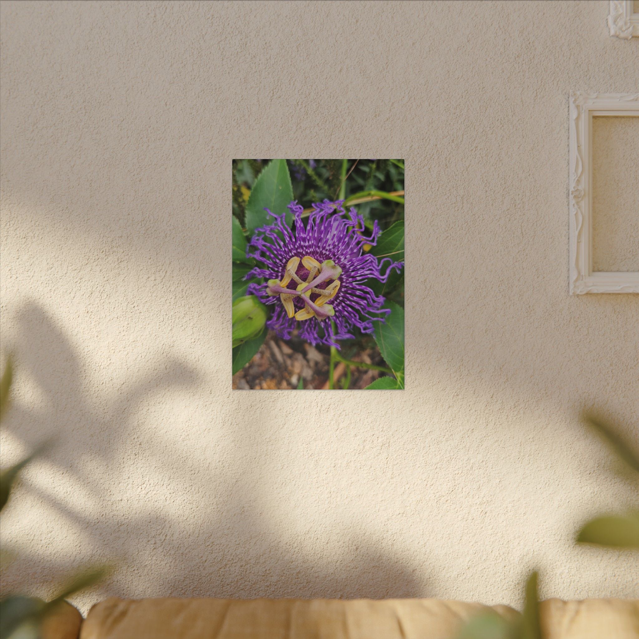 Purple Passionflower Botanical Canvas