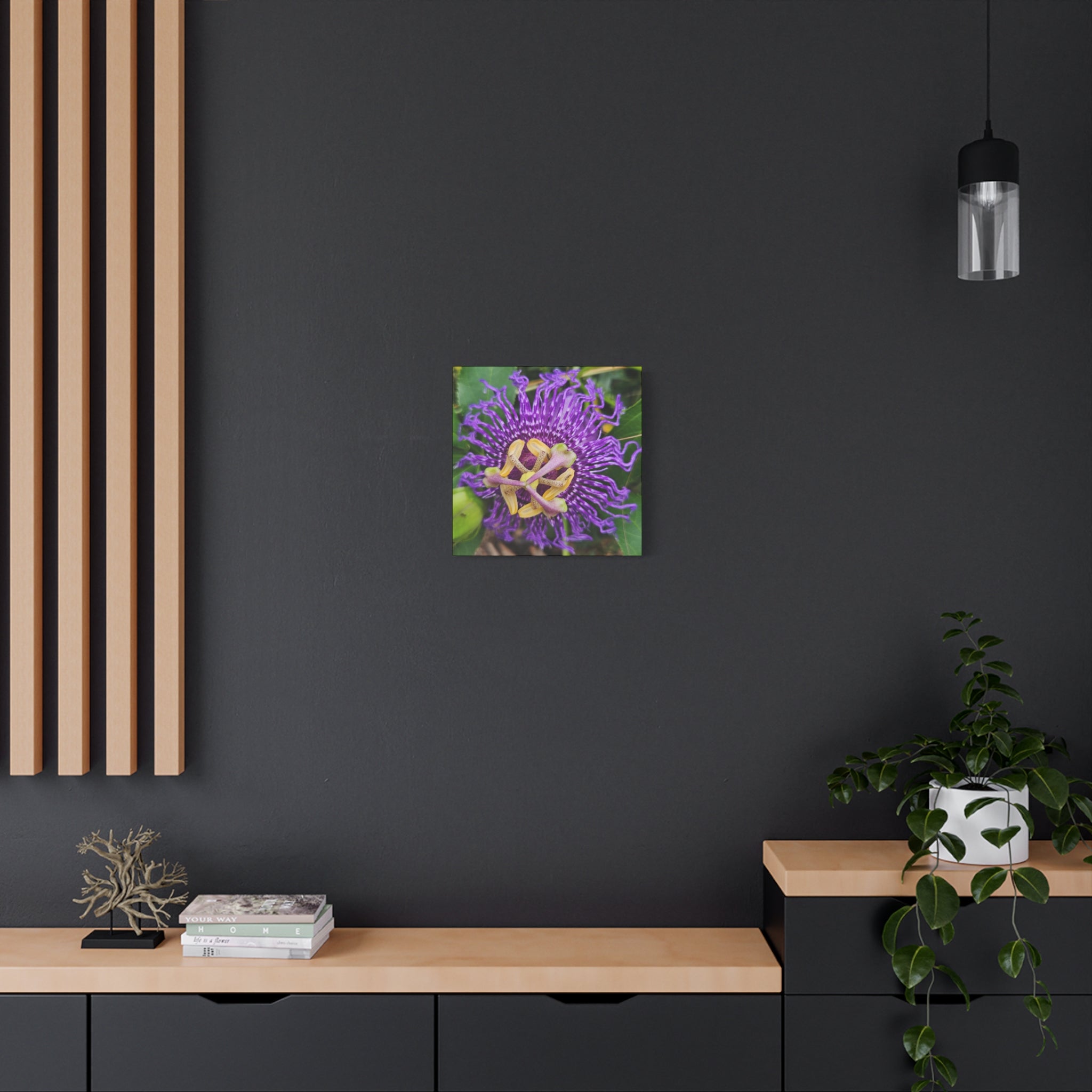 Purple Passionflower Close-Up Matte Canvas Print (Stretched)
