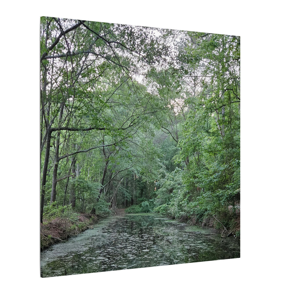 Mossy Pond Canvas Matte Stretched Wall Art