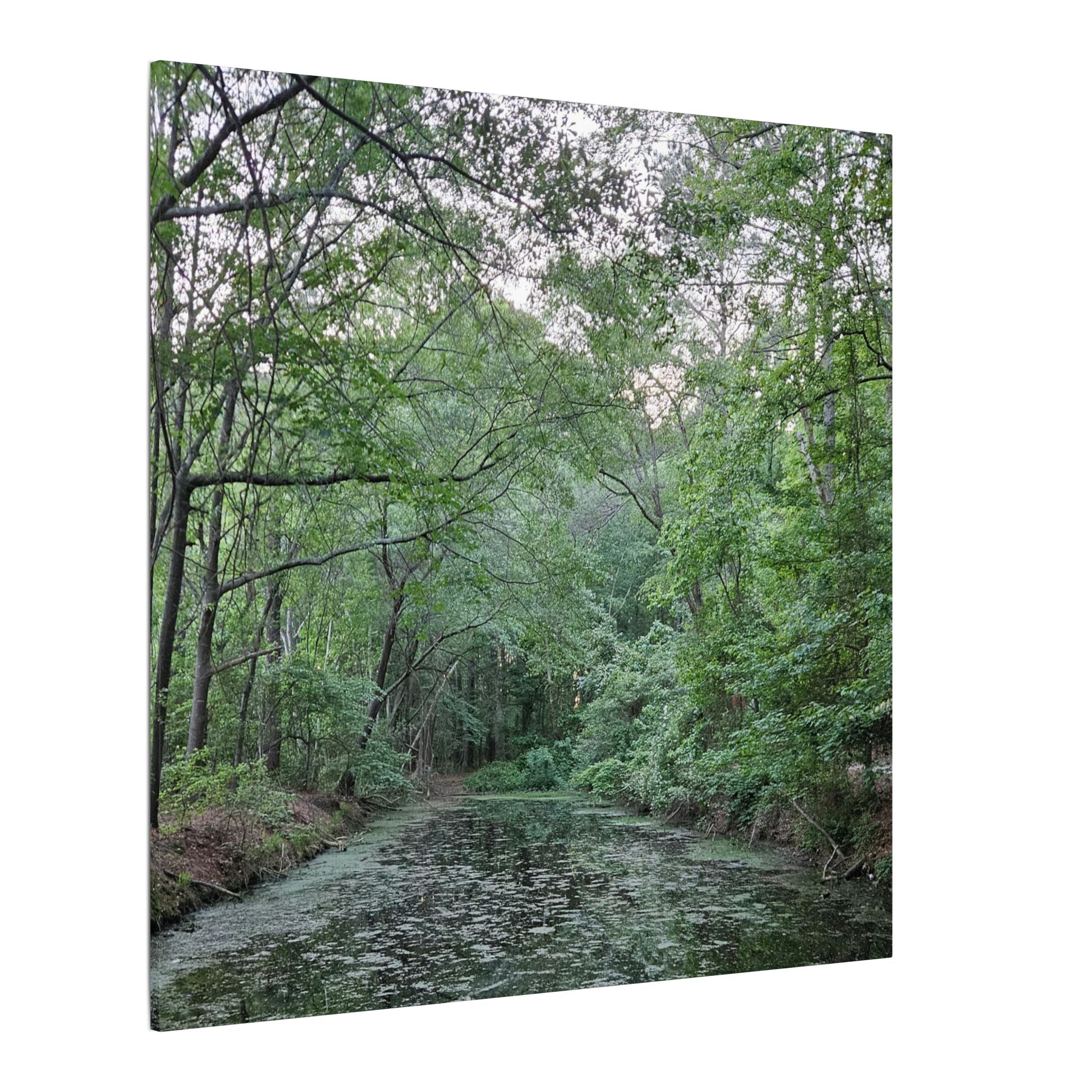Mossy Pond Canvas Matte Stretched Wall Art