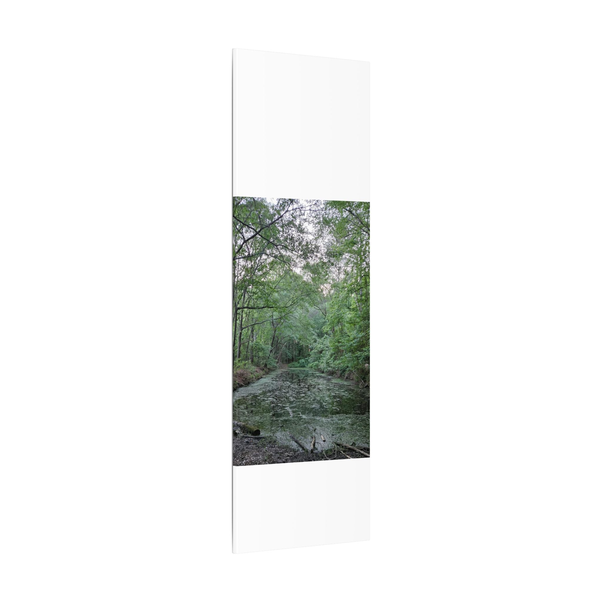 Mossy Pond Canvas Matte Stretched Wall Art