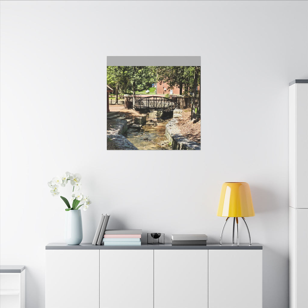 Park Footbridge Photograph Matte Canvas | Stretched Wall Art