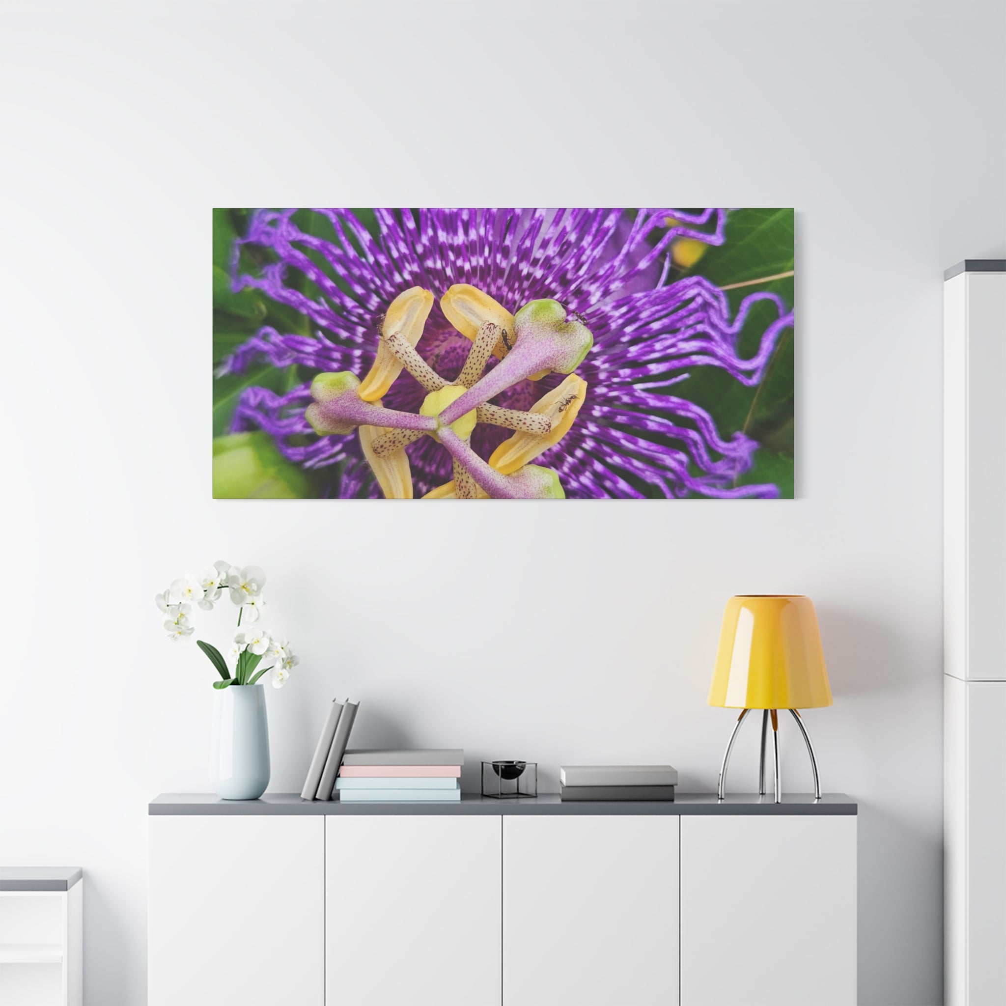 Purple Passionflower Close-Up Matte Canvas Print (Stretched)