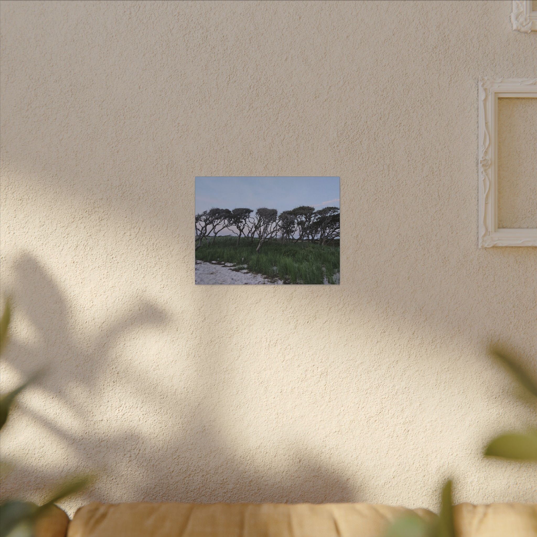 Coastal Windblown Trees Canvas