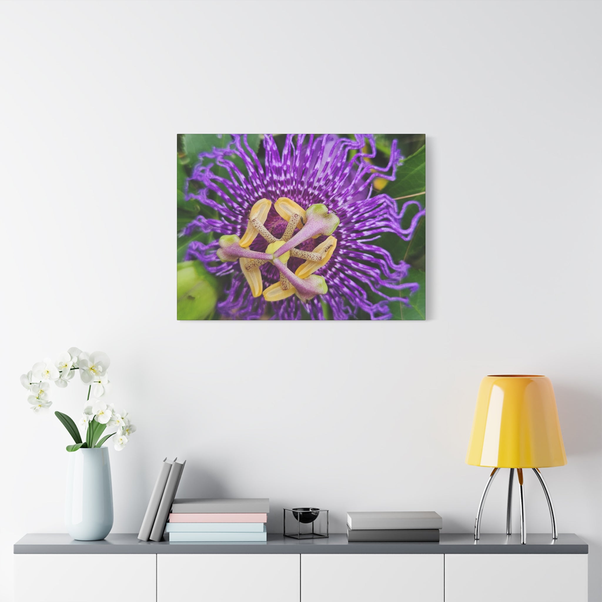 Purple Passionflower Close-Up Matte Canvas Print (Stretched)