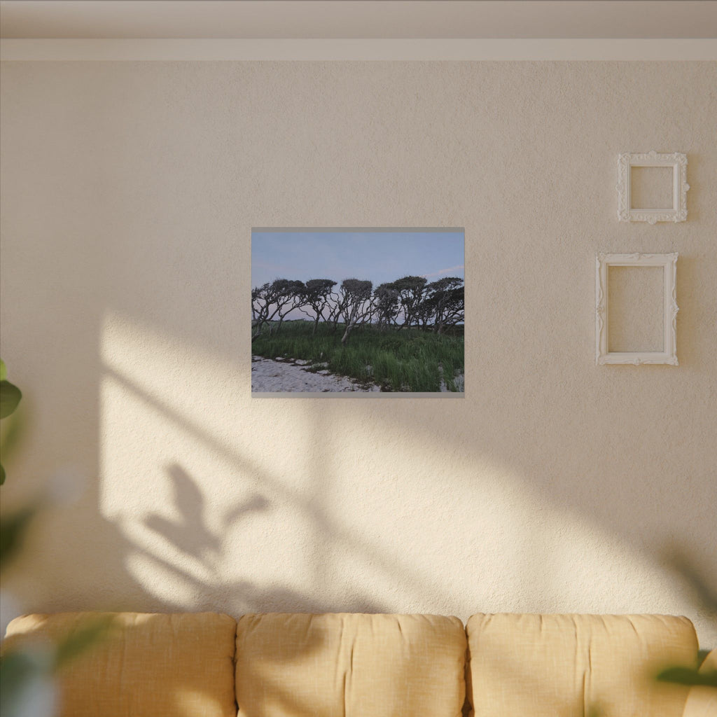 Coastal Windblown Trees Canvas