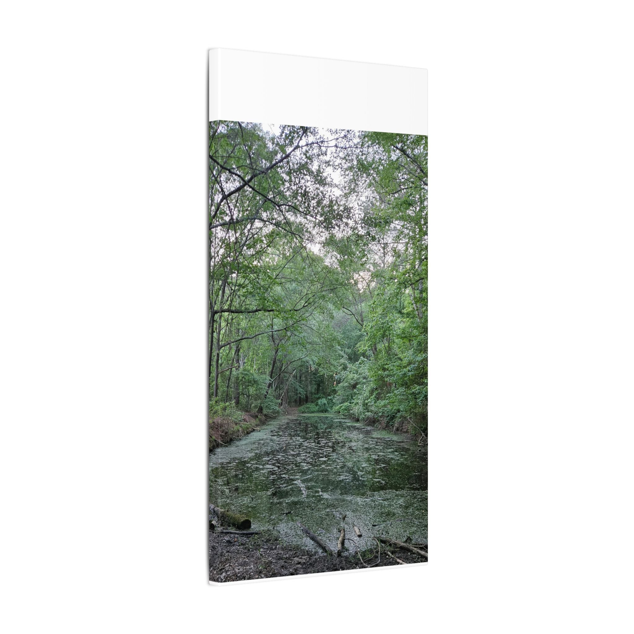 Mossy Pond Canvas Matte Stretched Wall Art
